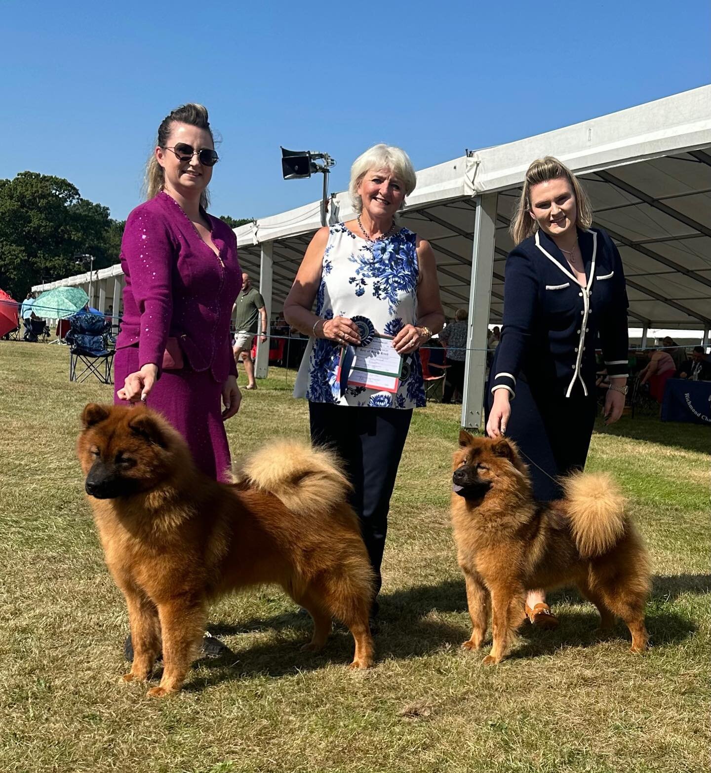 Another double for these pair of beauties in the blistering heat of Richmond Ch Show!! We are so proud of their performance

🔥Titan🔥 Best Male and BEST OF BREED #10

🍾Mo&euml;t🍾 Best Female and Best Opposite

Our judge was top all rounder Mrs Pat