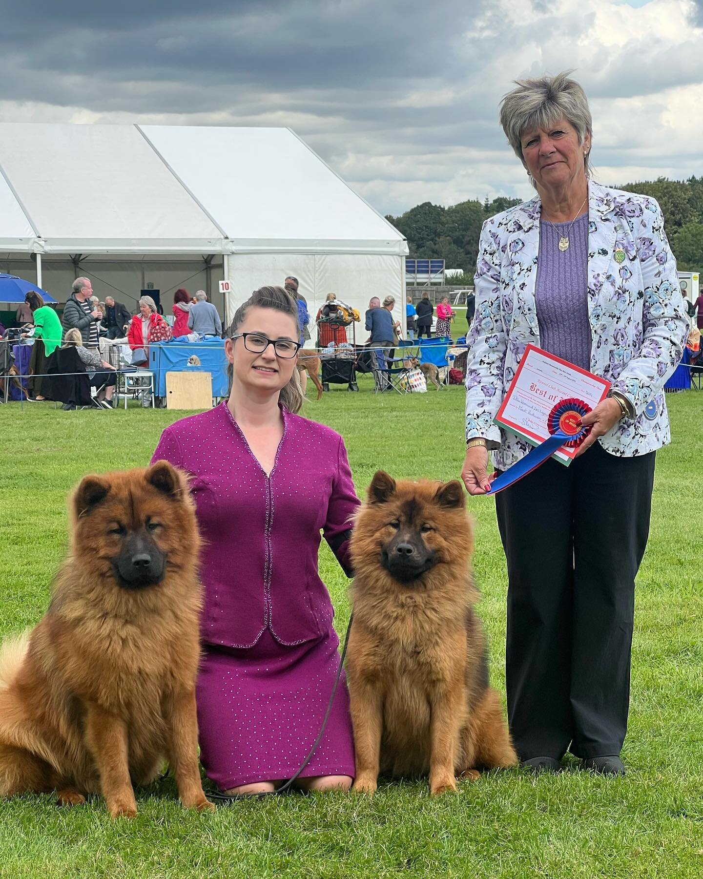 Another double for the ginger floofs!

Titan Best Male and Best of Breed #8
Mo&euml;t Best Female #7 and Best Opposite

Thank you Sue Bird for your appreciation and lovely comments on both of them. 

🔥TITAN VORMUND DES LEGENDES DE RETZ KAYDANMY (IMP