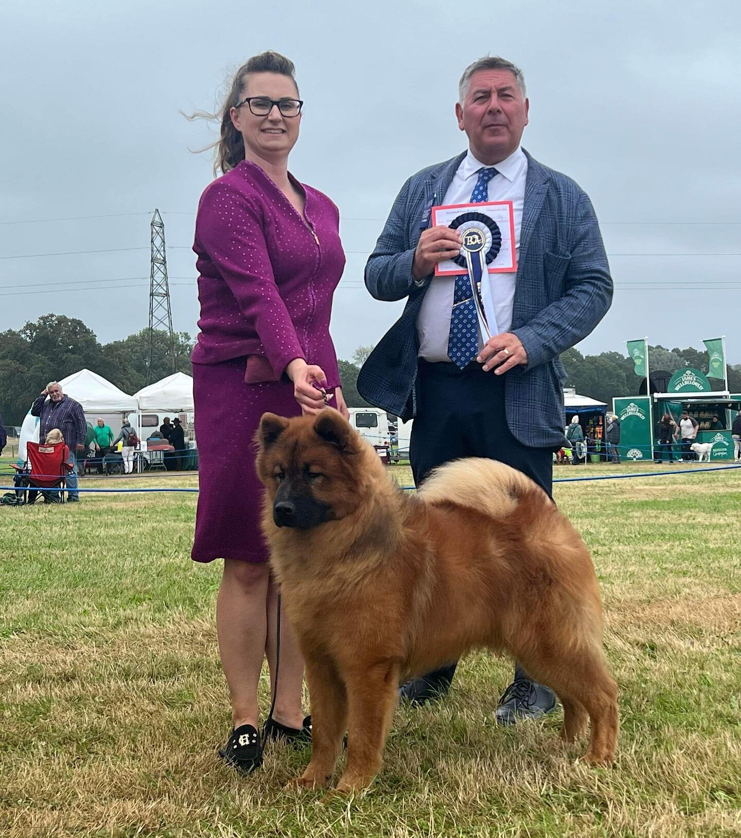 Windy and wet Bournemouth Ch show for Titan but he came away with Best Dog &amp; Best of Breed #7!!

Thank you to our judge Mr Jeff Horswell for thinking so highly of him. First show back after a short break to grow his coat back 🥰

🔥TITAN VORMUND 