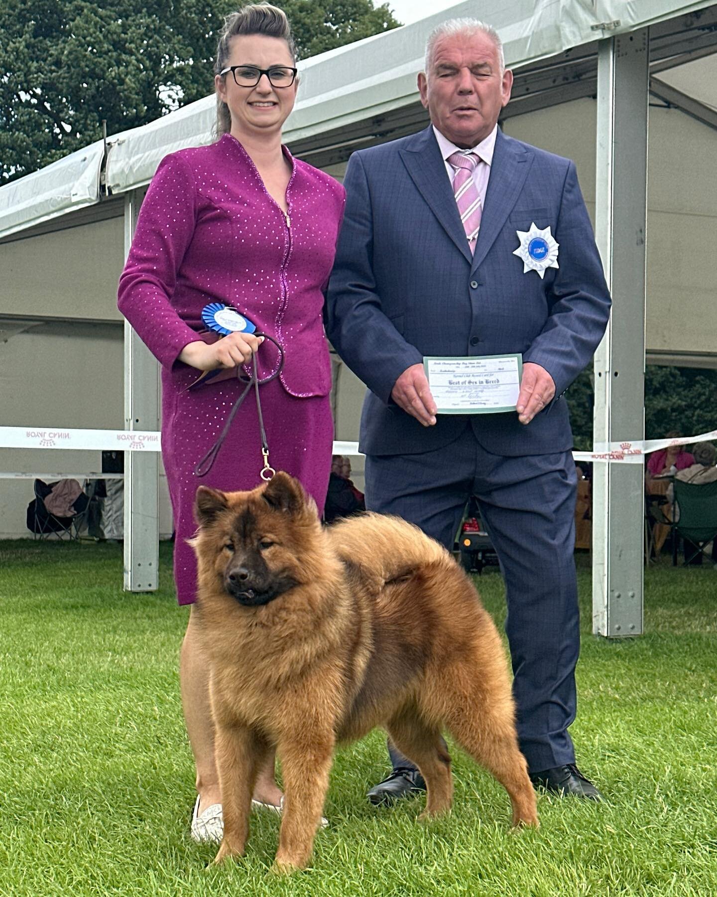 Mo&euml;t makes it 5️⃣ in a row at Leeds Ch Show!!

1st Junior, Best Bitch and Best Opposite!!

Thank you to judge Richard Kinsey for thinking so highly of her 

#showdogsofinstagram #eurasier #eurasierofinstagram #instaeurasier #milliespaws #spitzlo