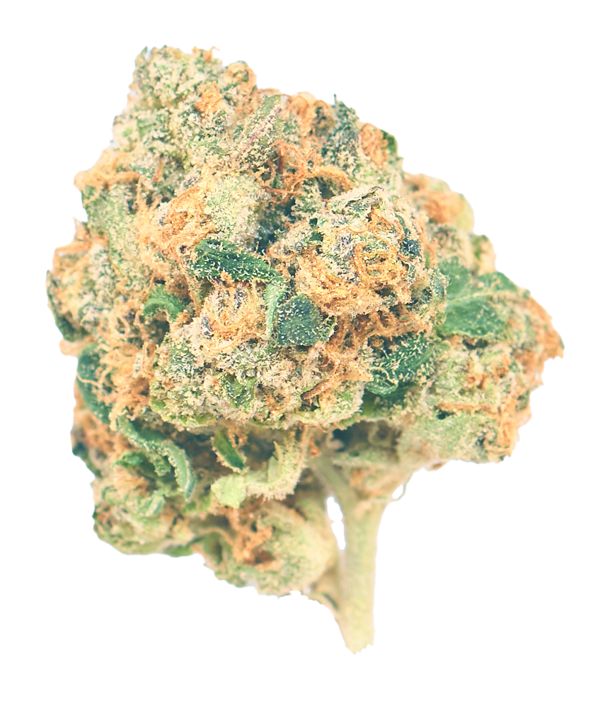 Gelato26.96% THC 0.05% CBD