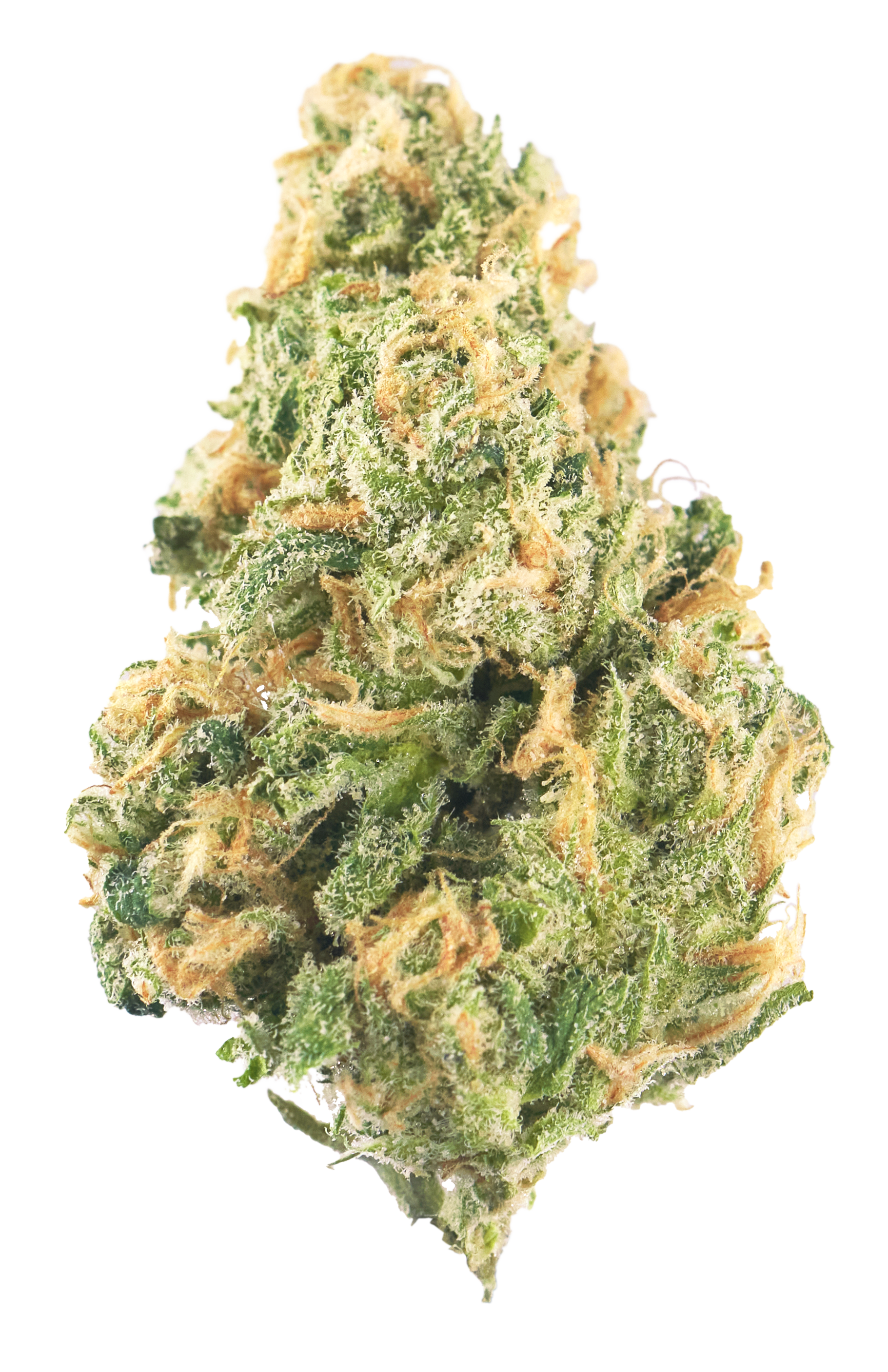 Blue Dream23.29% THC 0.05% CBD