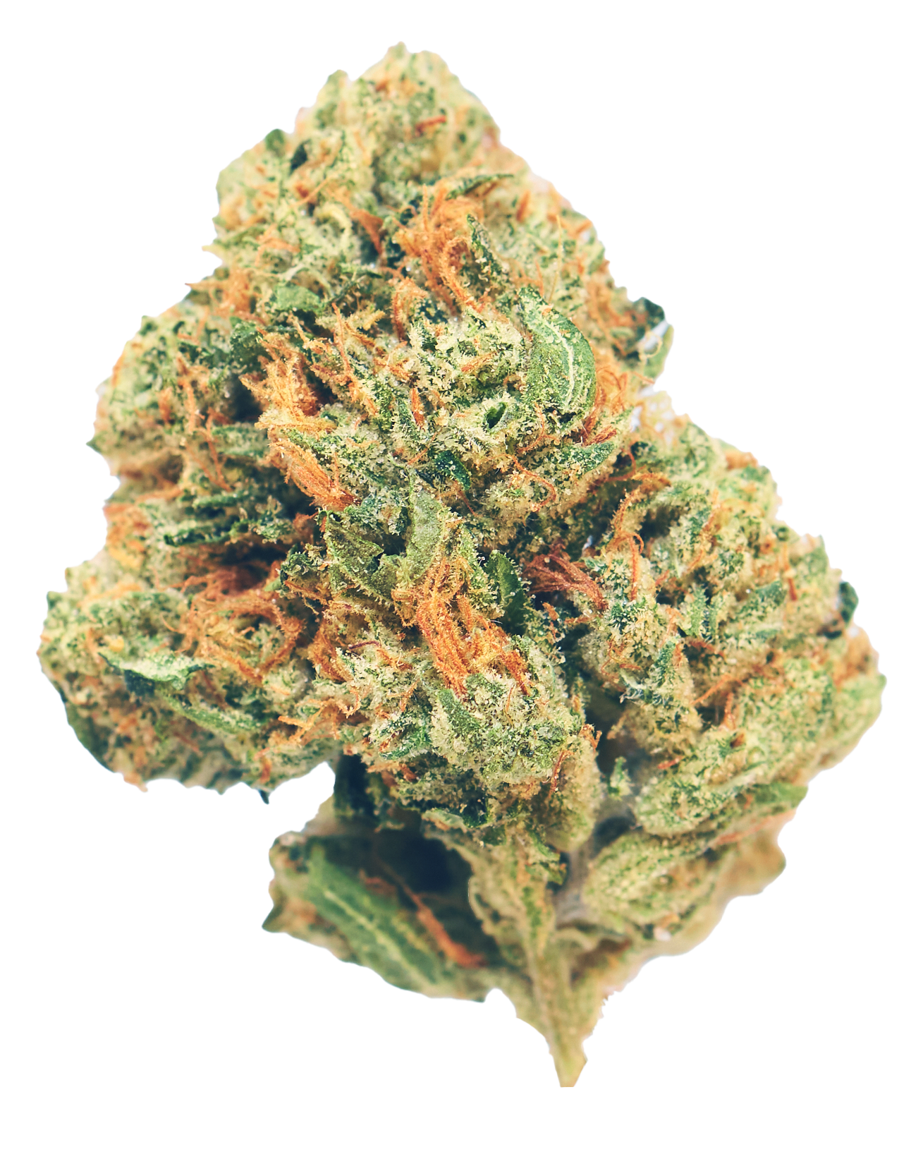 OG Kush Indica 25.83% THC 0.05% CBD