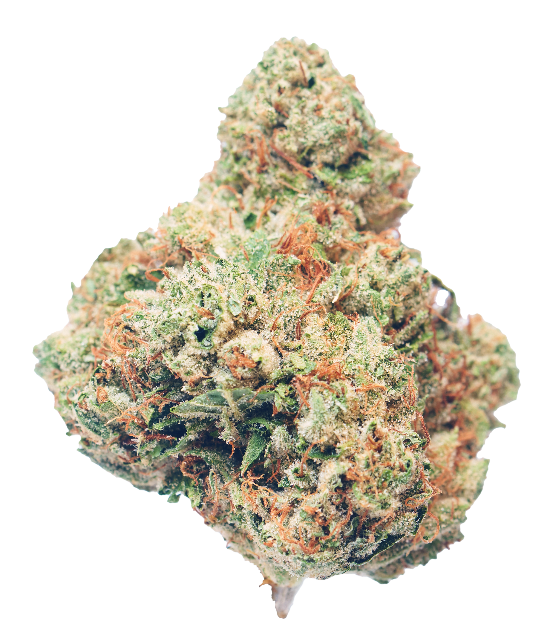 Rocket Fuel Indica24.63% THC 0.05% CBD