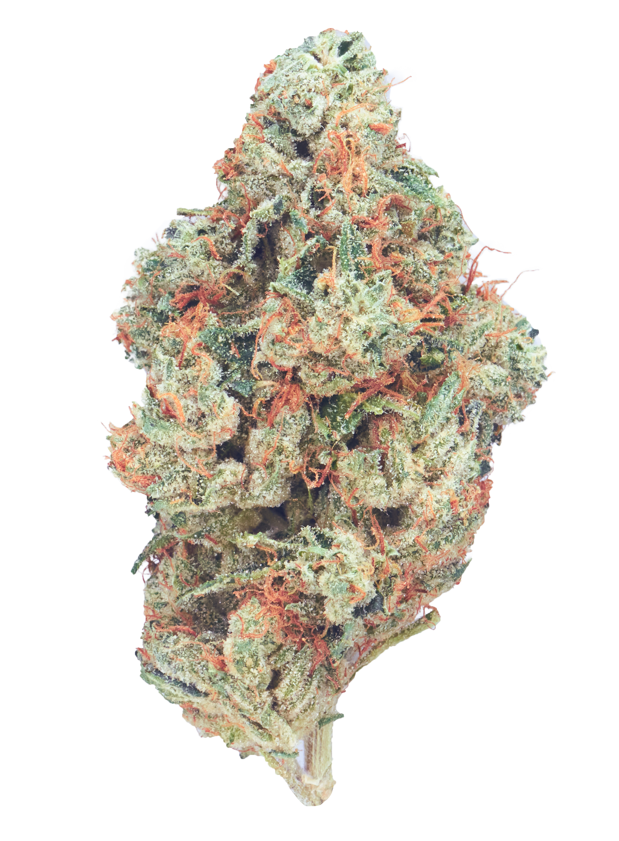 Triangle Kush   Indica21.97% THC  0.05% CBD