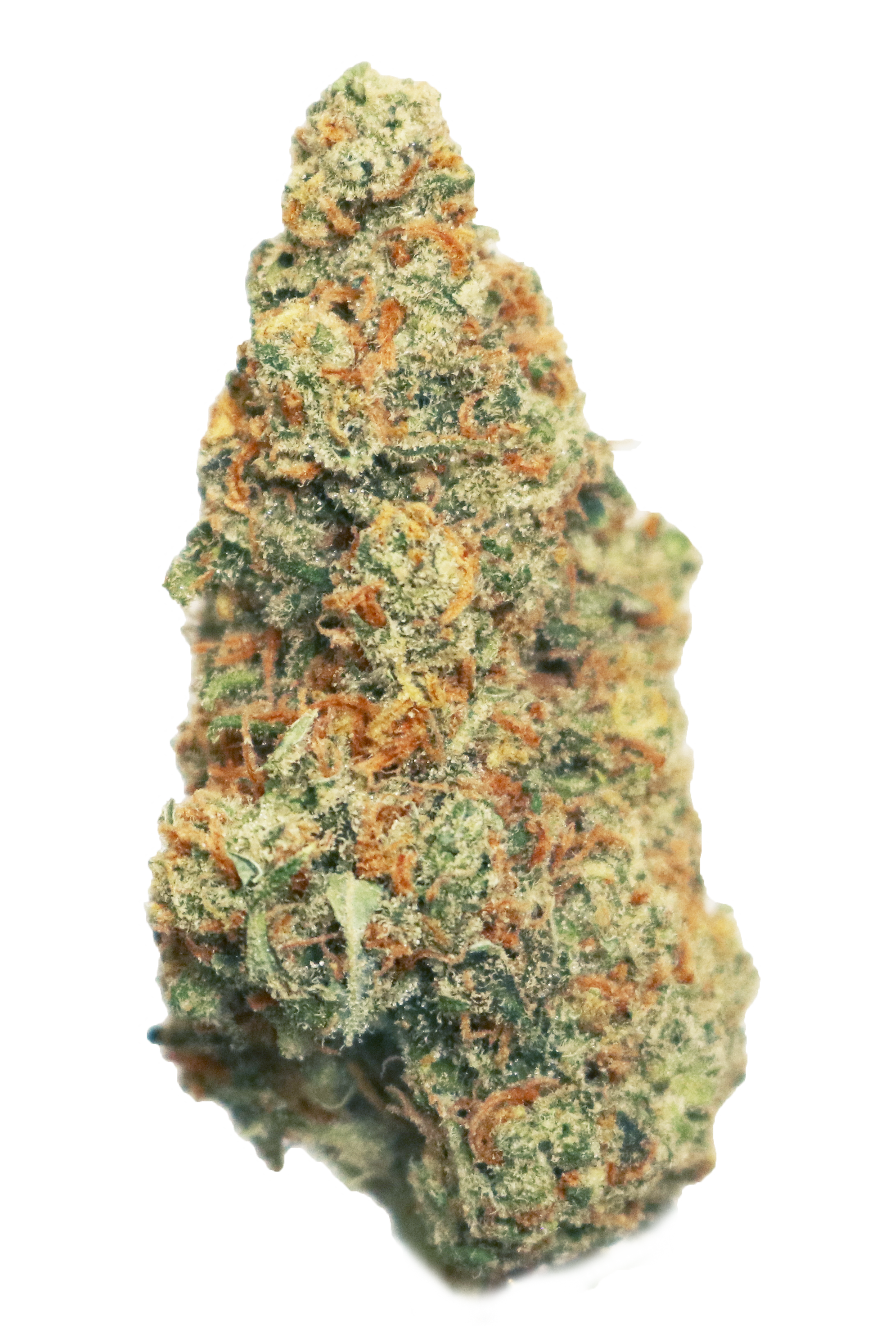 Silver Mountain Sativa26.96% THC 0.05%CBD