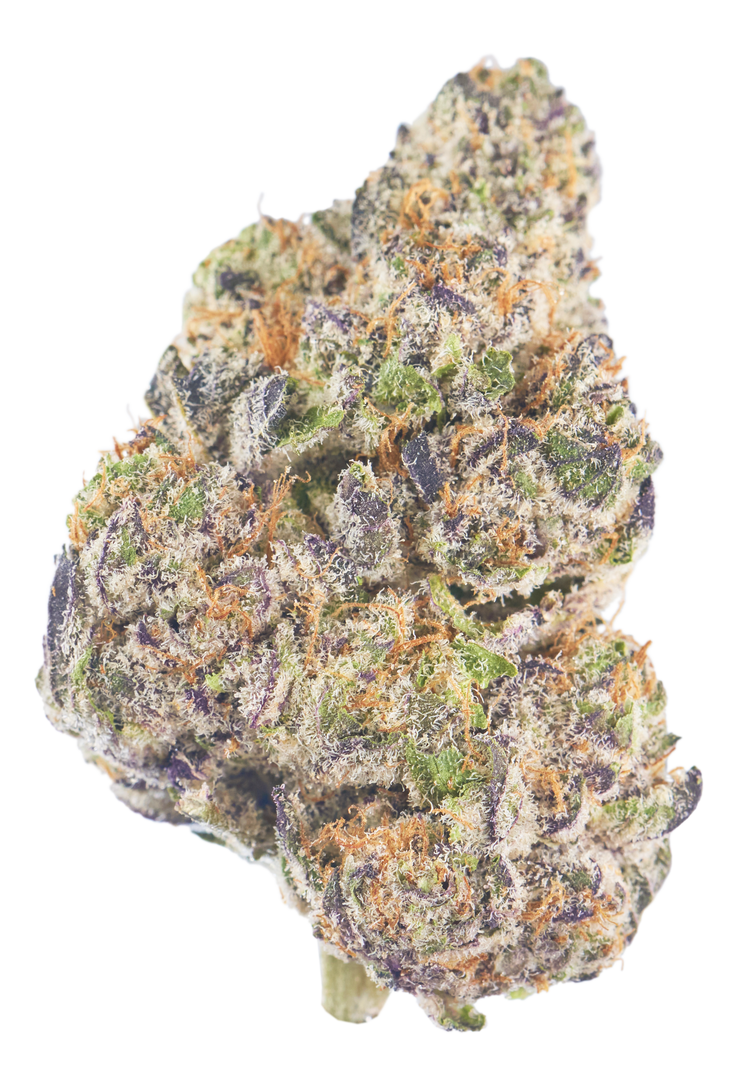 Modified Grapes Hybrid18.12% THC 0.04%CBD