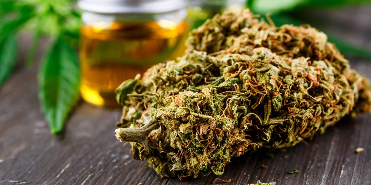 How to Safely Consume Terpenes in Cannabis Products