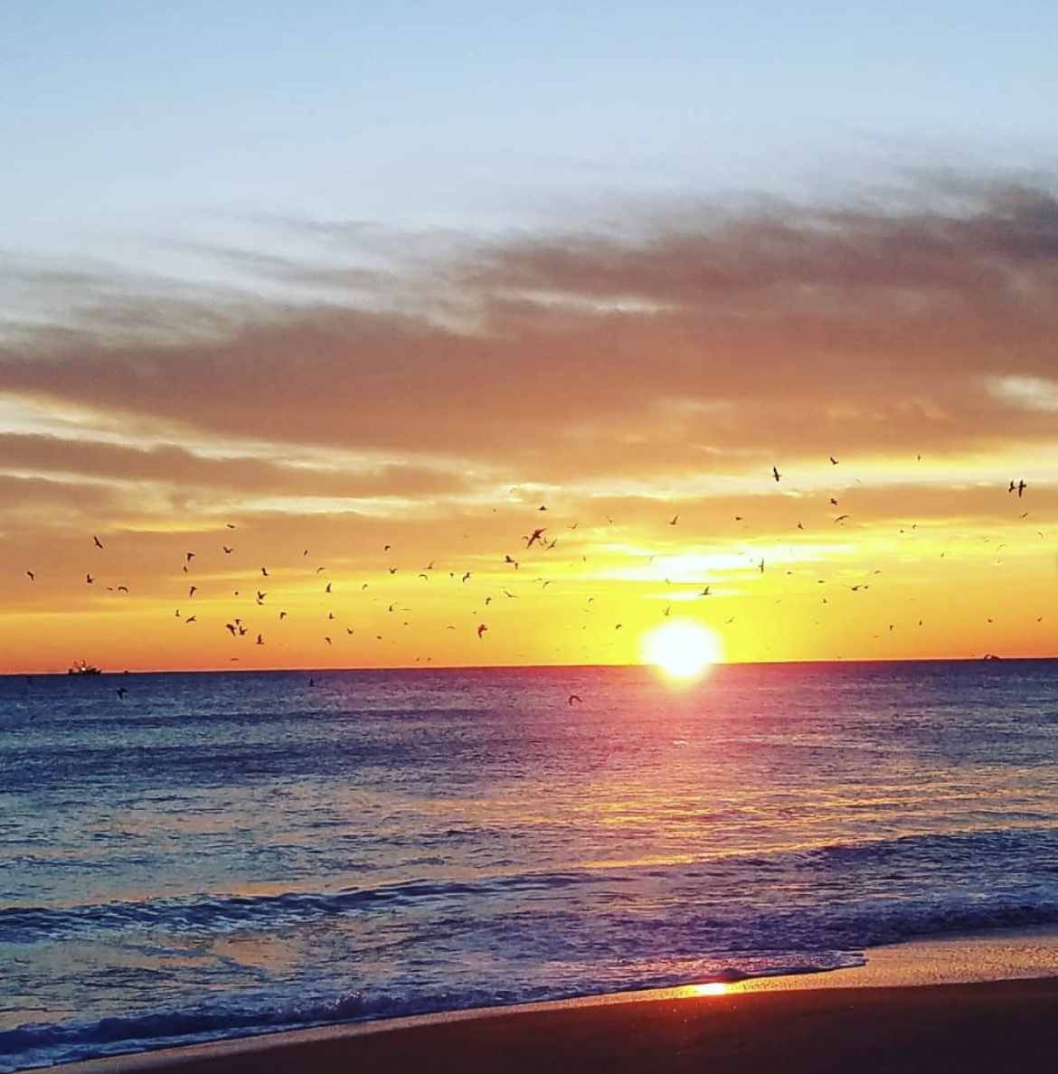 Rest & Restore Retreat with Maiia
