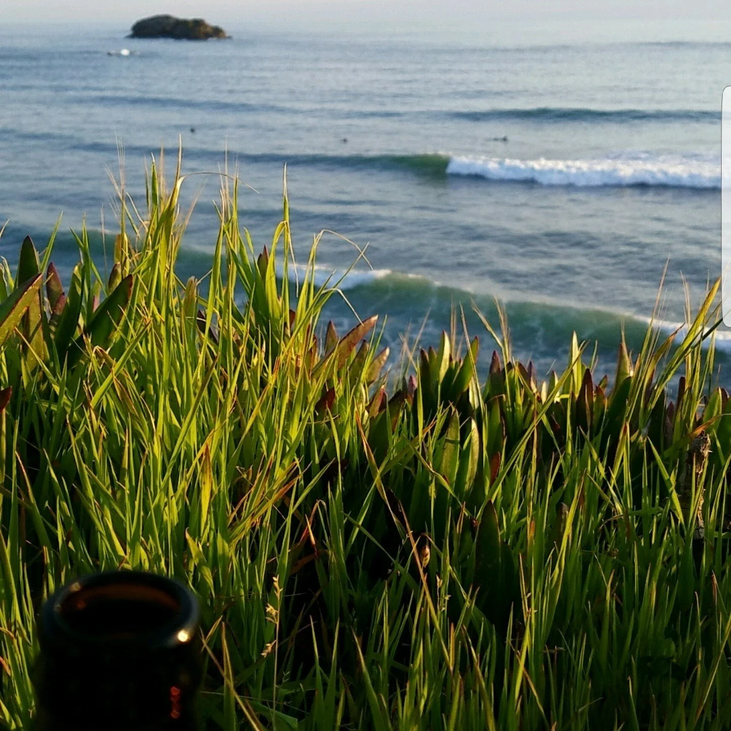 Surf Lessons Vs. Surf Mentoring