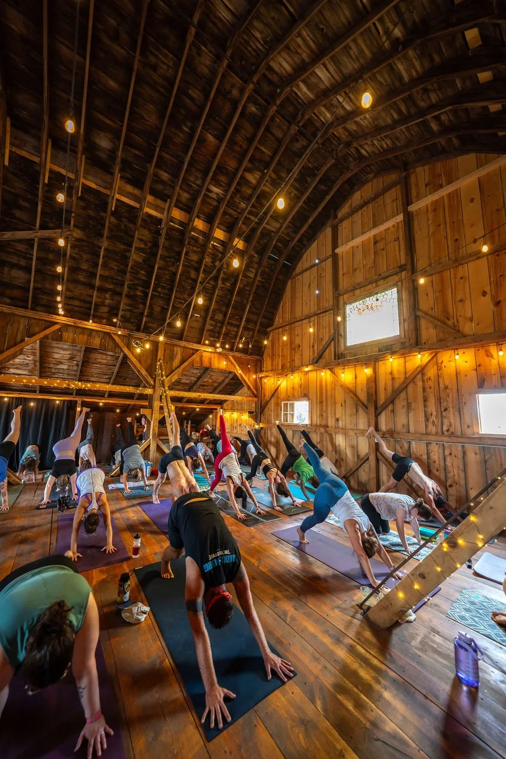 SRYF24-194.webp (Copy)