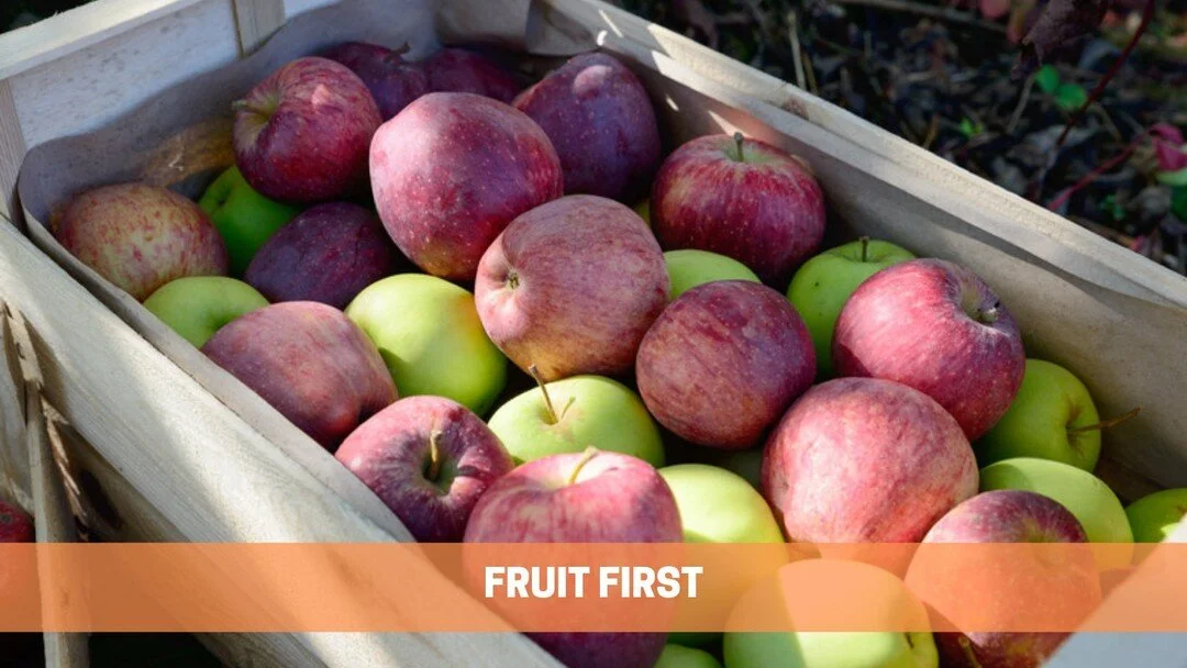 Find Your Carrot - Blog Post: Fruit First
When setting goals many people struggle with setting the right goals. In my post, Goldilocks Goals, I explain how goals that are too hot will cause you to burn out quickly and goals that are too cold do not i