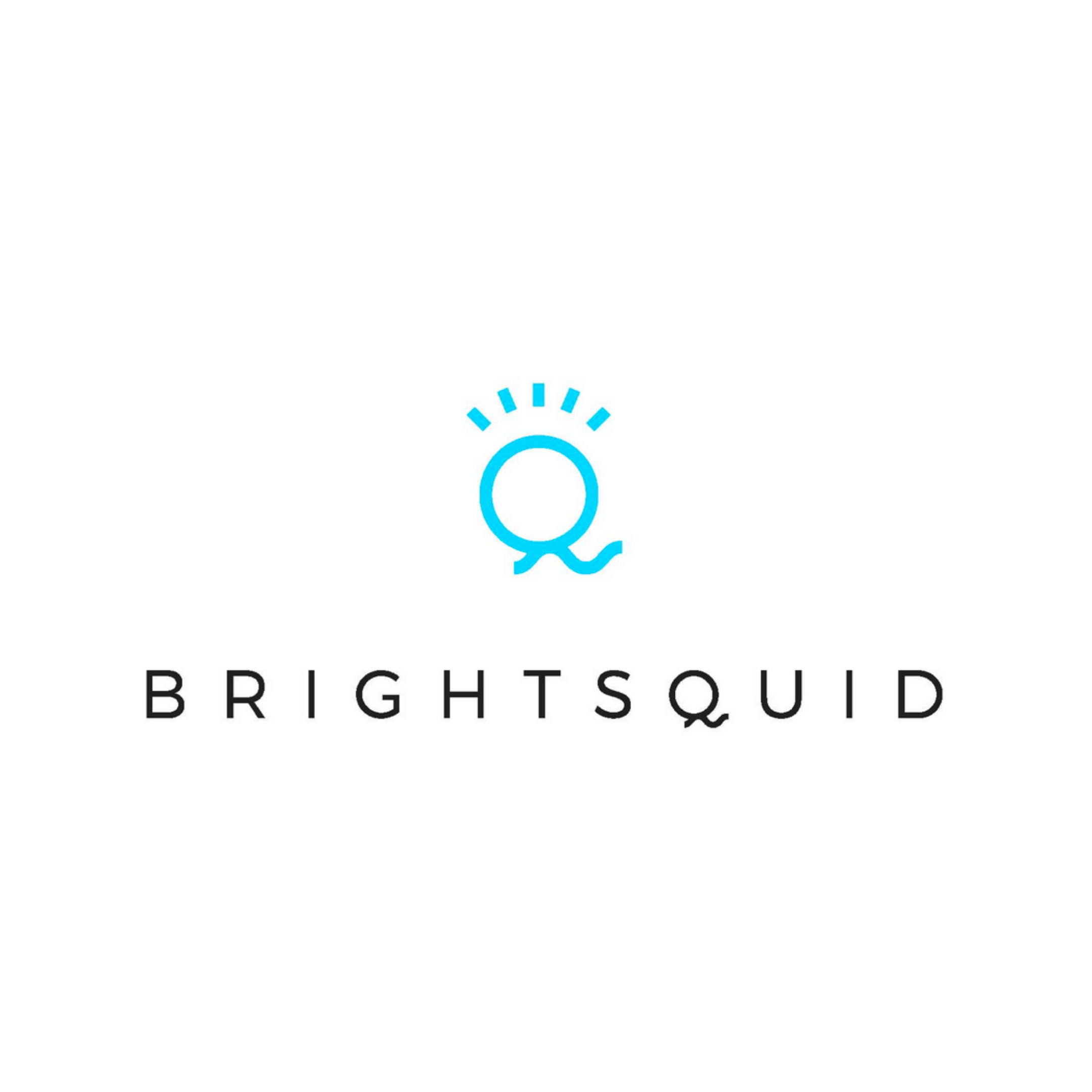 Brightsquid.png