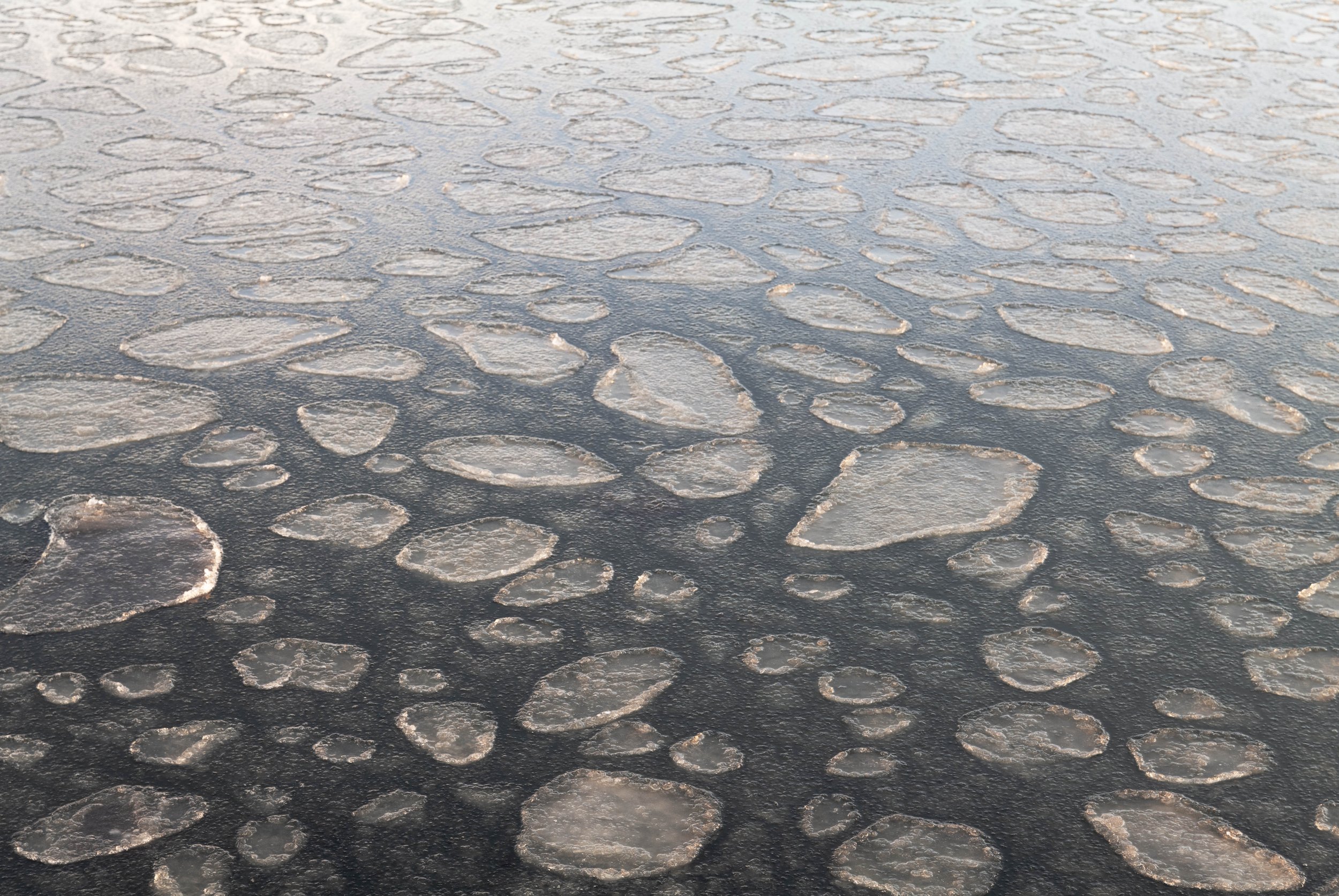 Skagaströnd, Northwest Iceland, January, 2024.