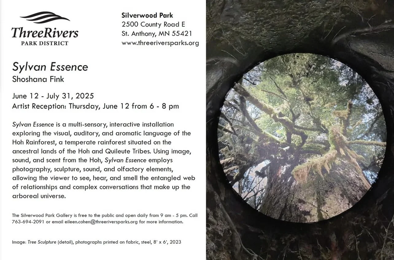 Excited to announce that "Sylvan Essence" will be showing at the main gallery in Silverwood Park in St Anthony, MN. June 12 to July 21, 2025.