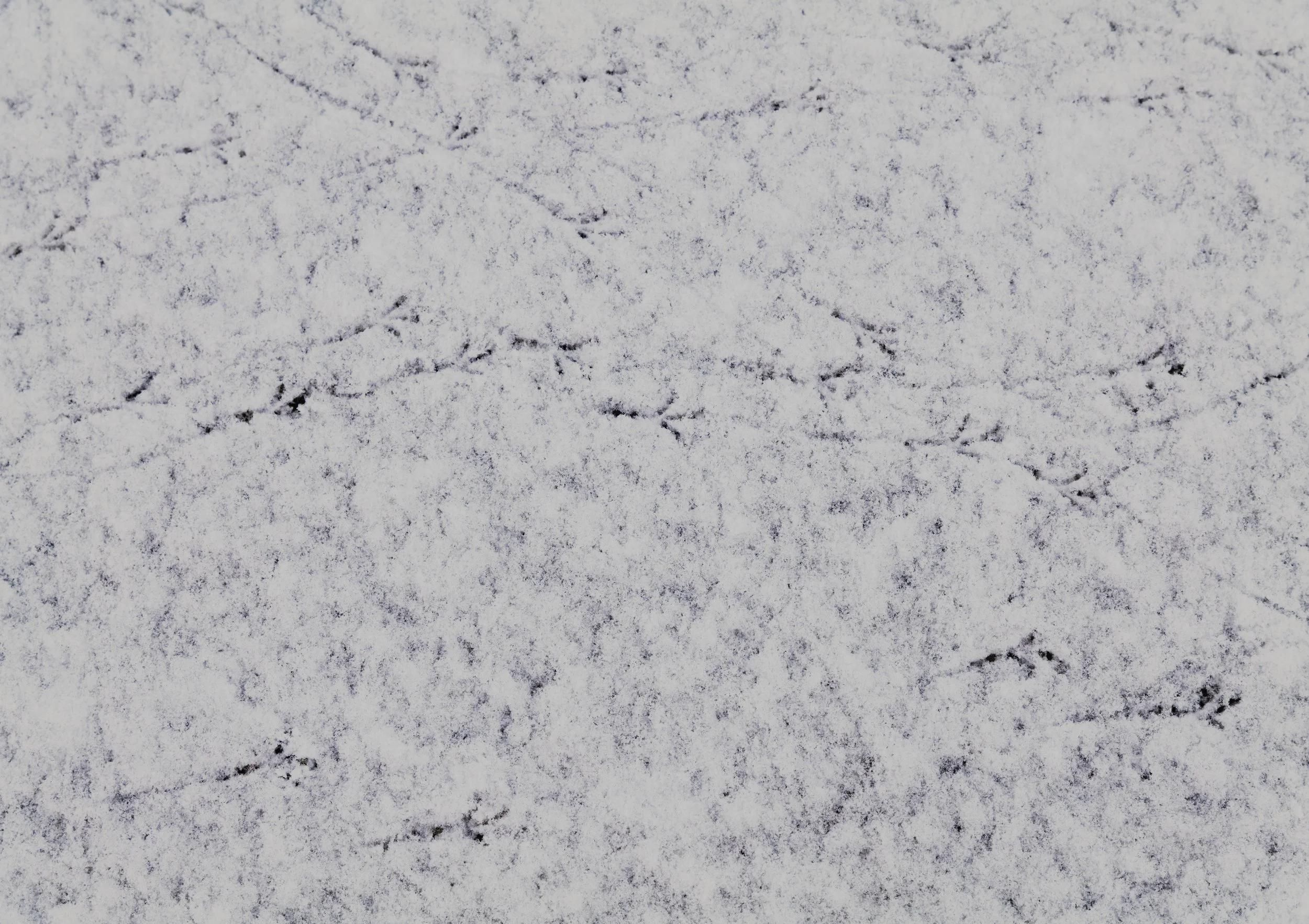 Skagaströnd, Northwest Iceland, January, 2024.