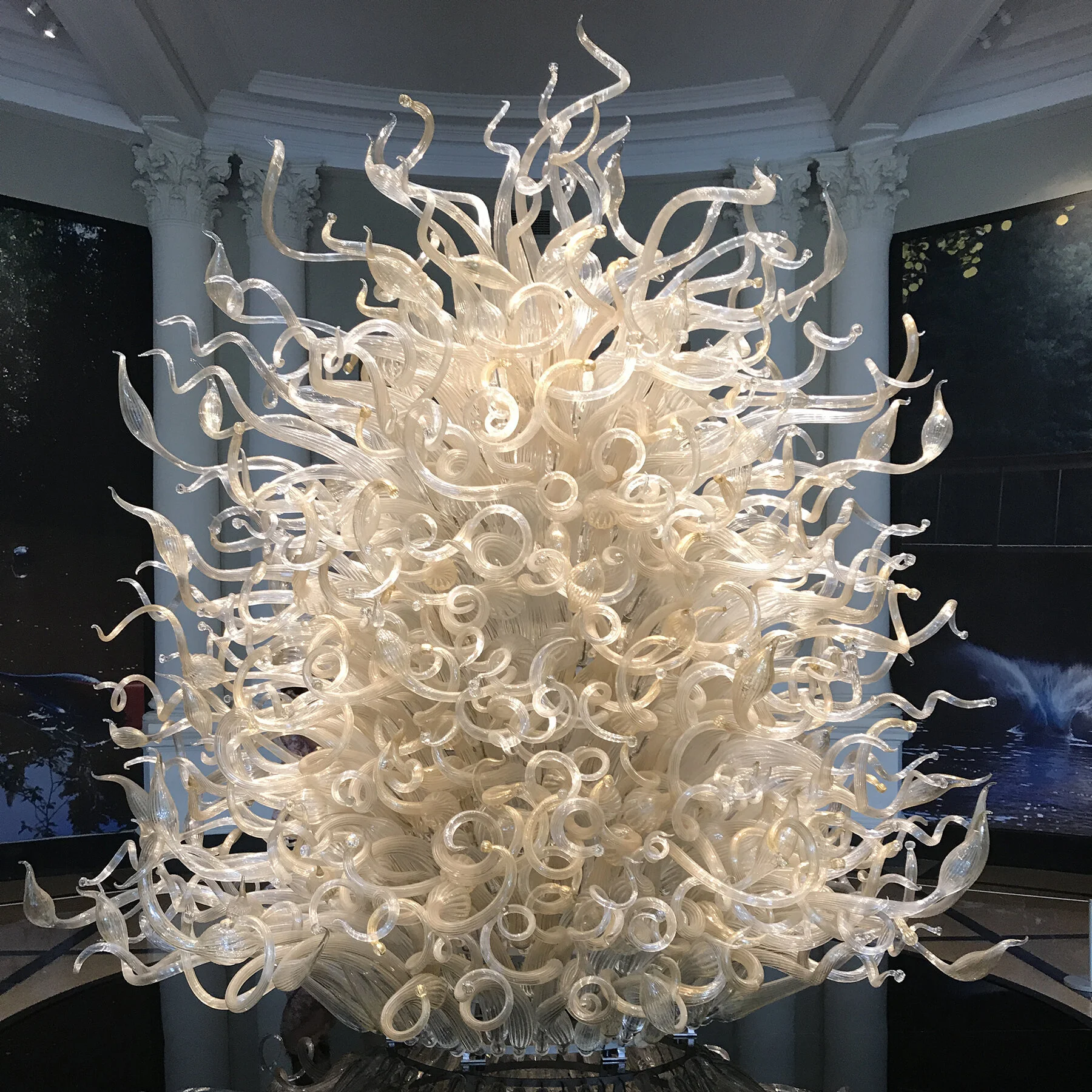 Dale Chihuly Sculpture: New York Botanical Garden - Bronx, New York
