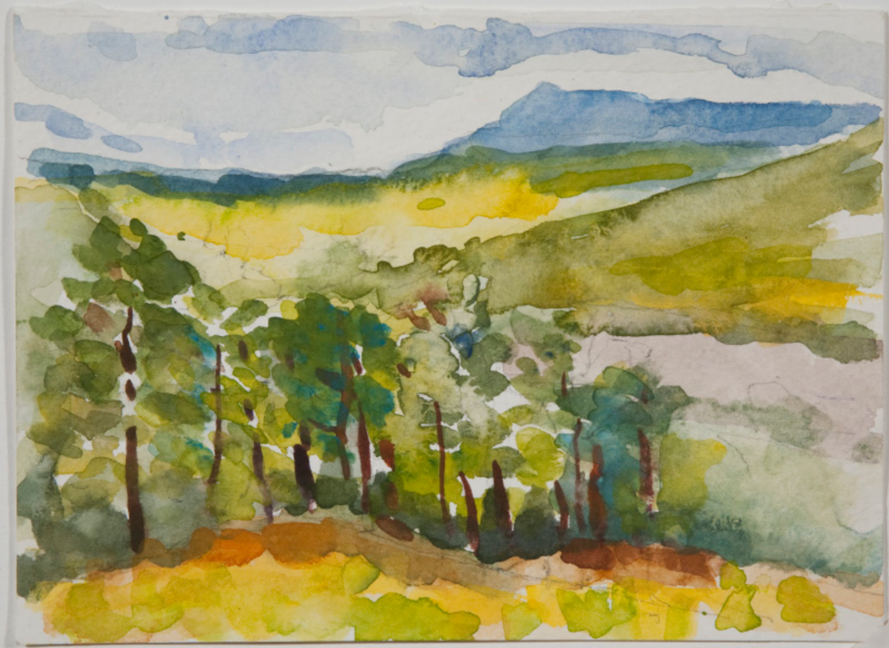 Pecos National Forest- Watercolor 11”x19”