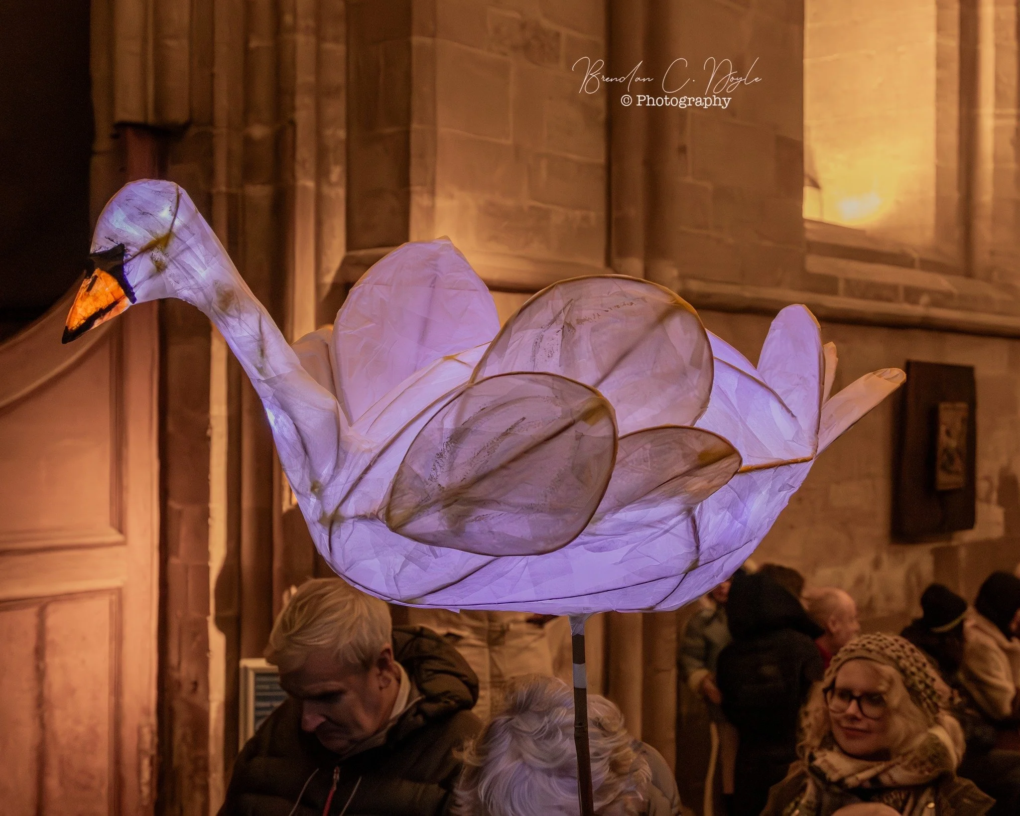 With thanks to Brendan Doyle Photography