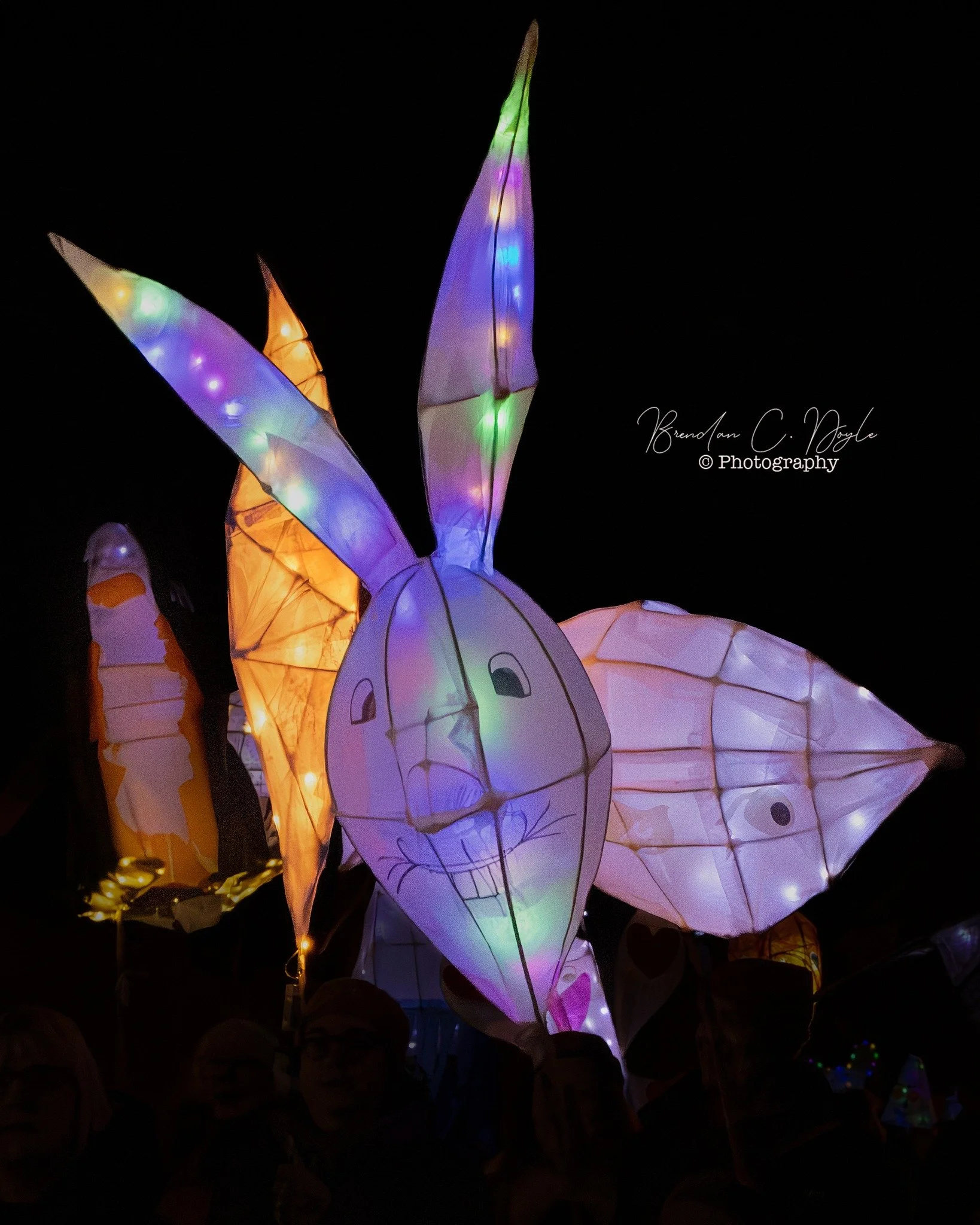 With thanks to Brendan Doyle Photography