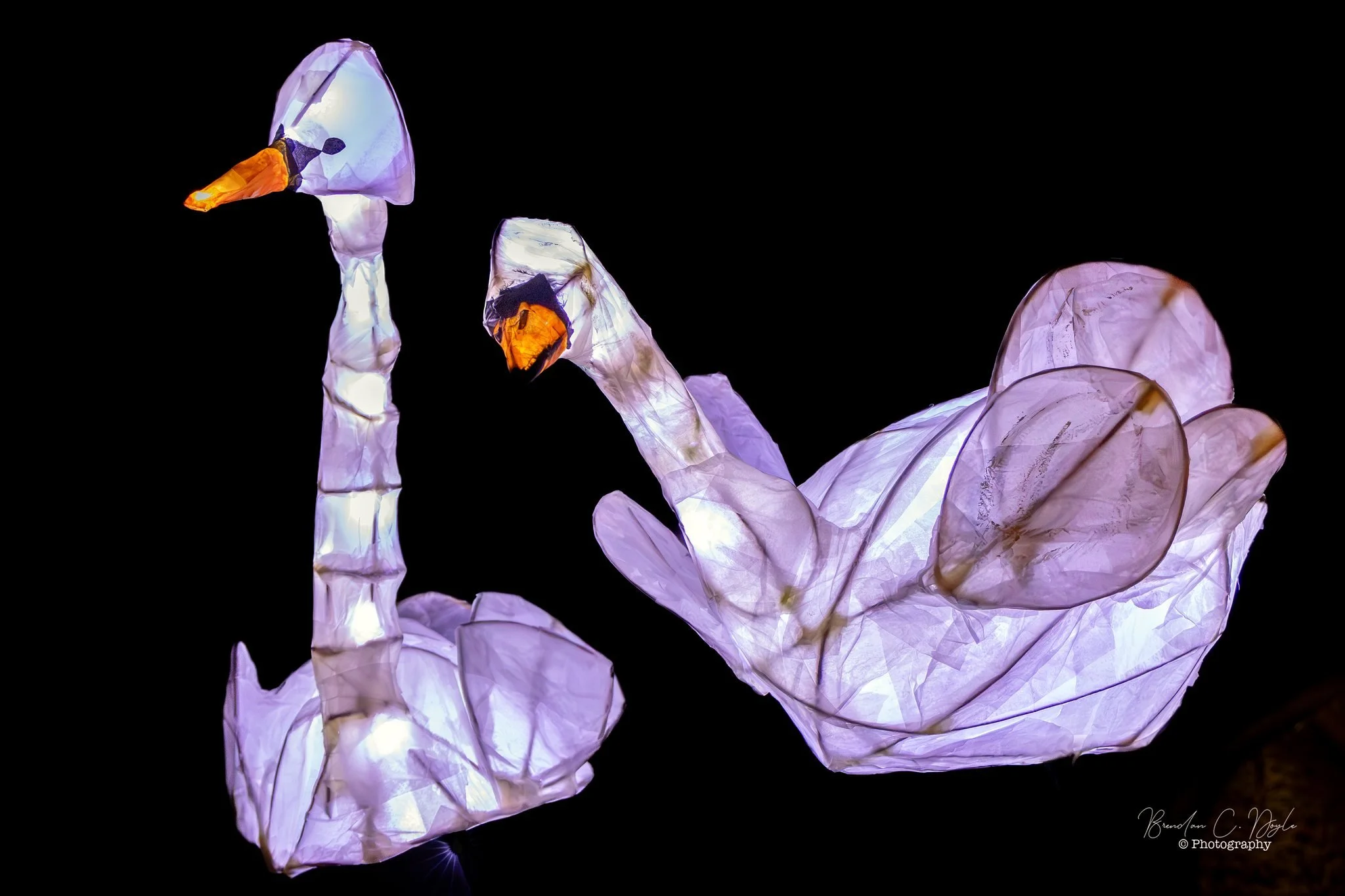 With thanks to Brendan Doyle Photography