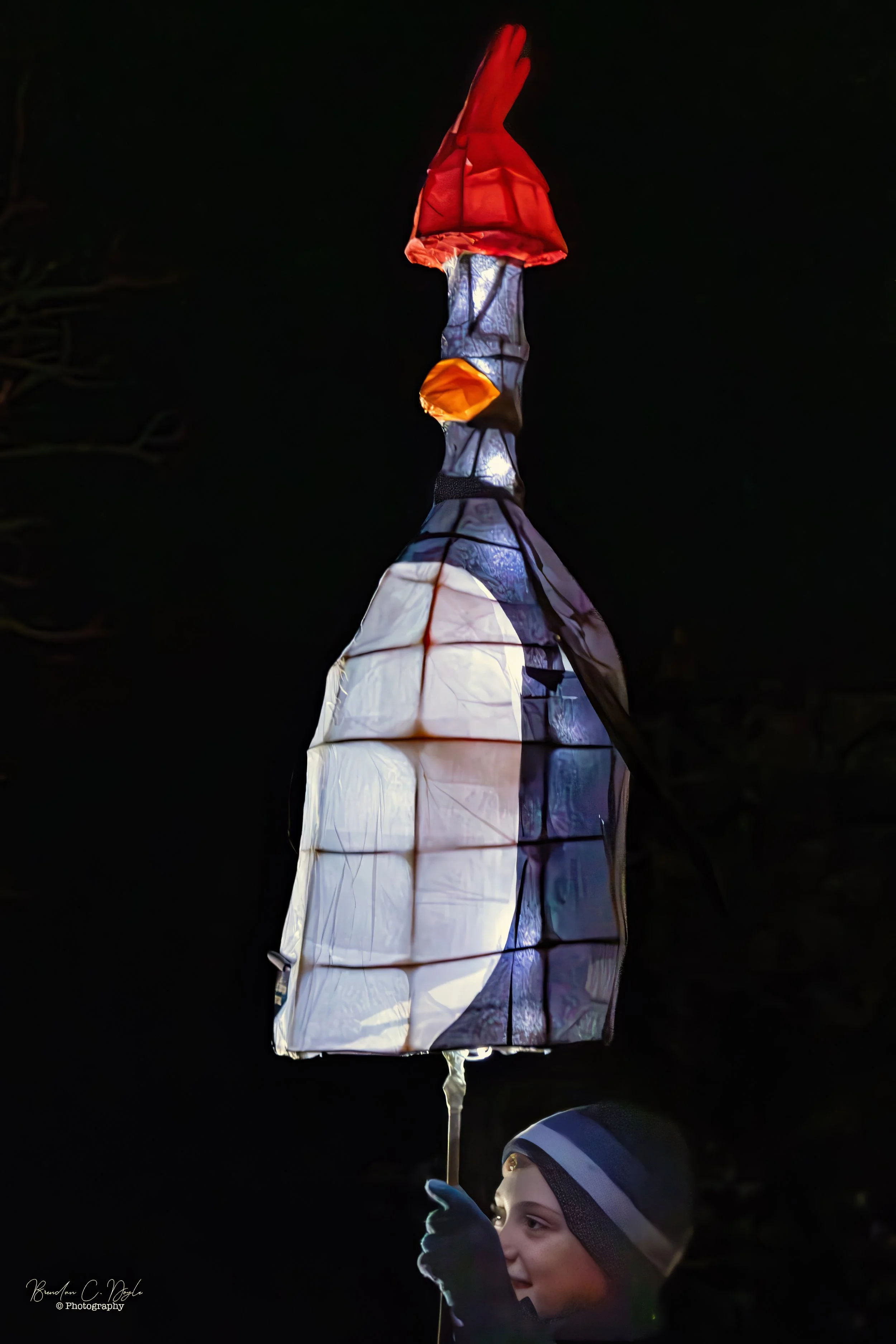 Wells Lantern Parade January 2026 018.jpg