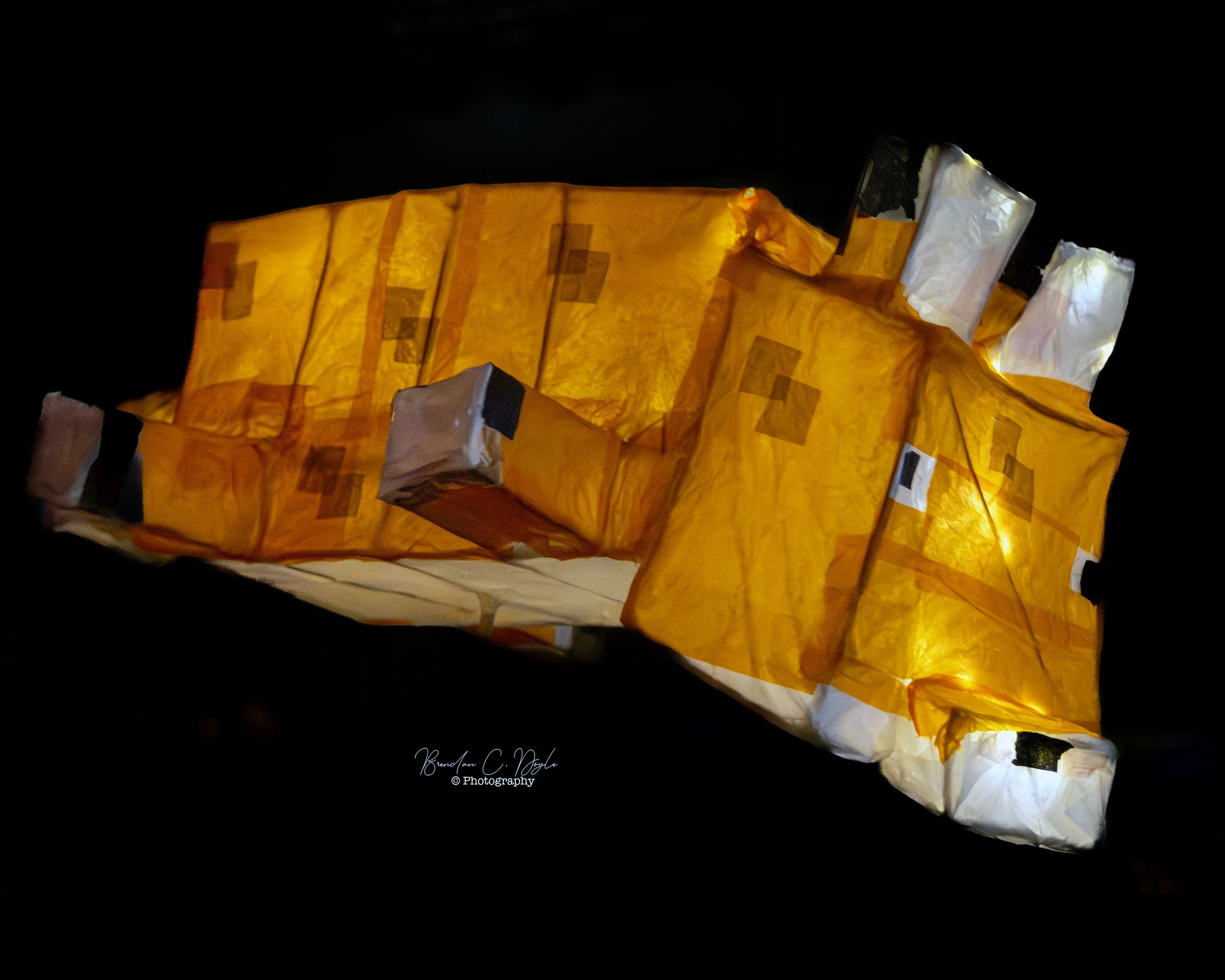 Wells Lantern Parade January 2026 025.jpg