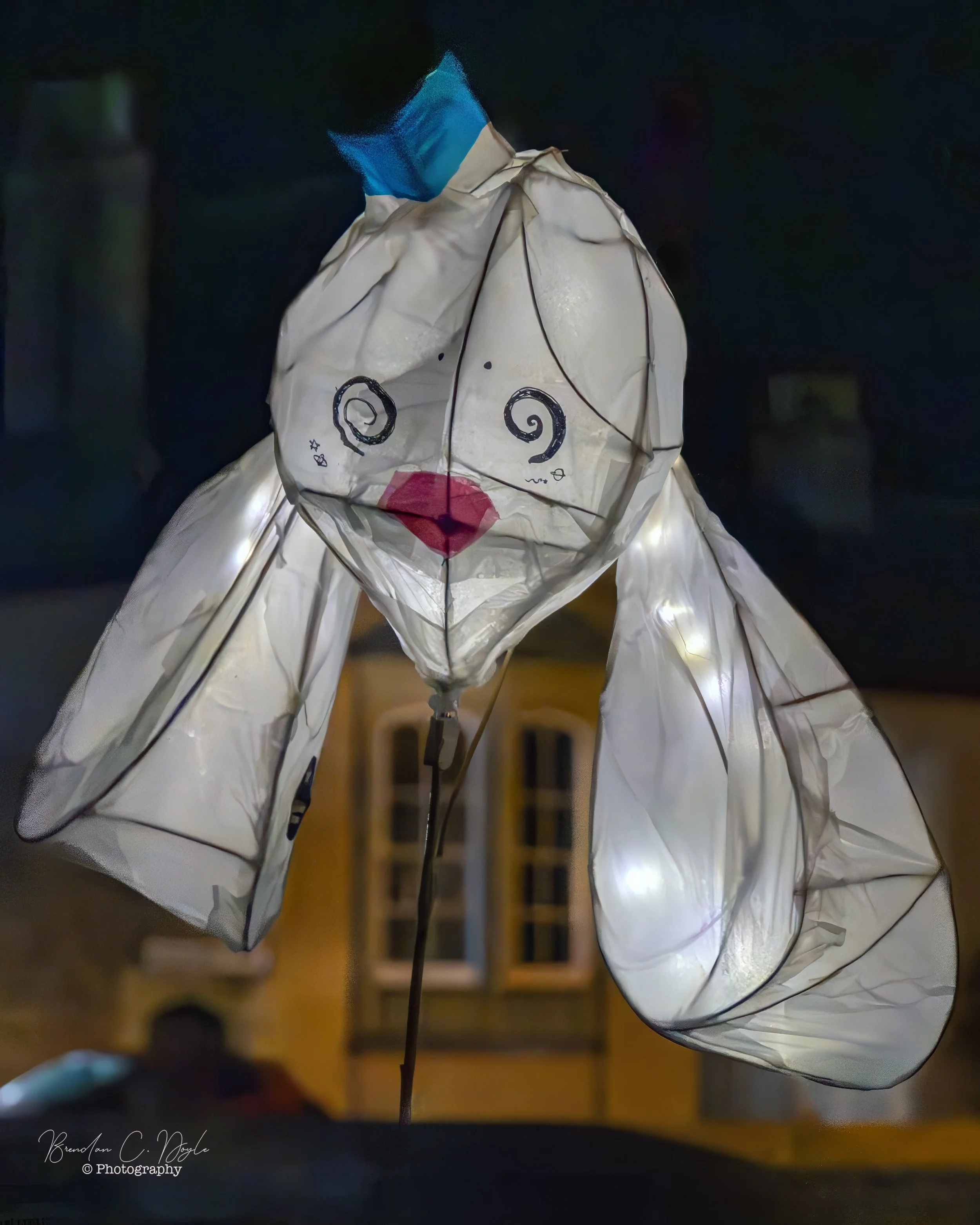 Wells Lantern Parade January 2026 006.jpg