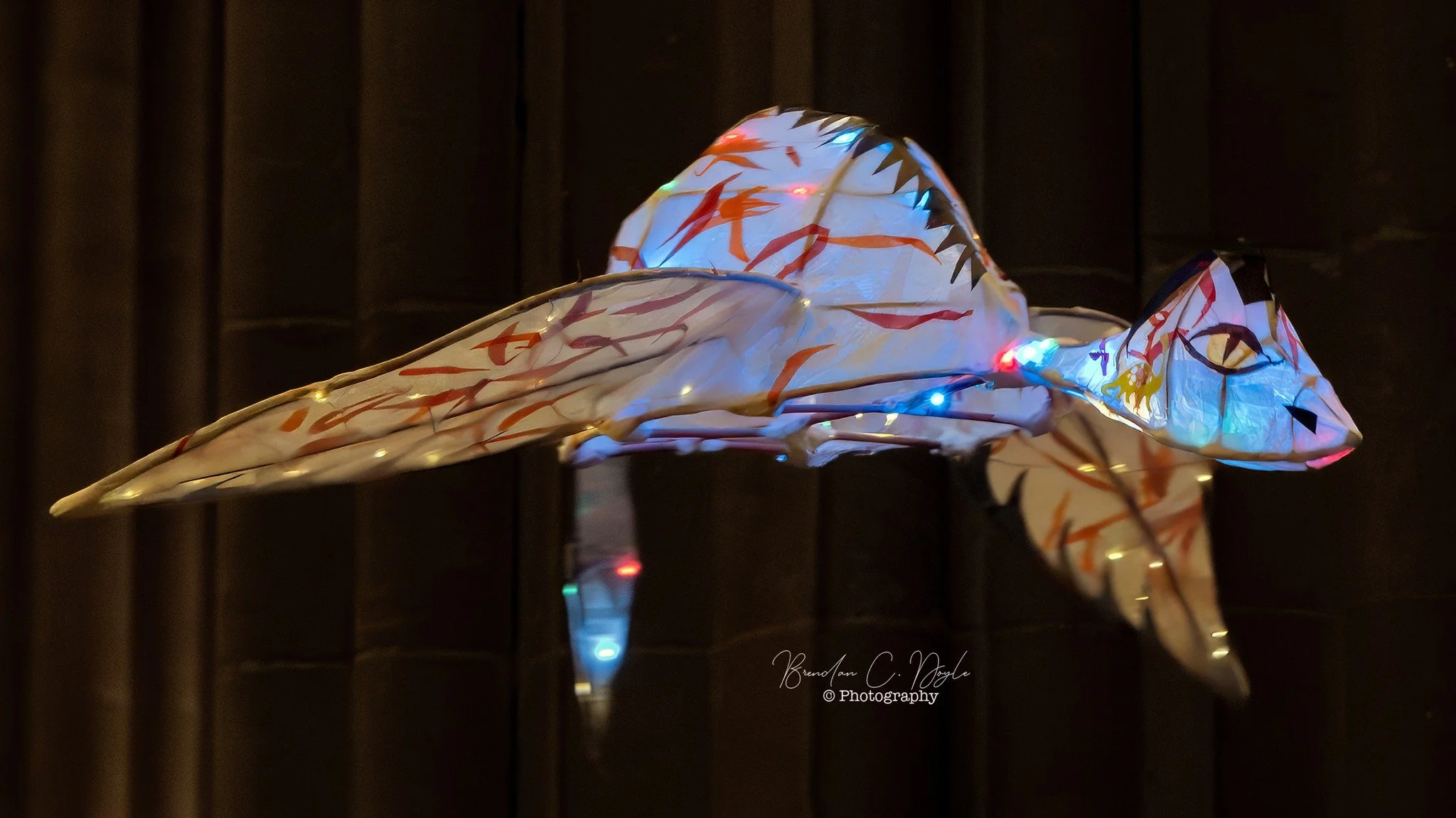 With thanks to Brendan Doyle Photography