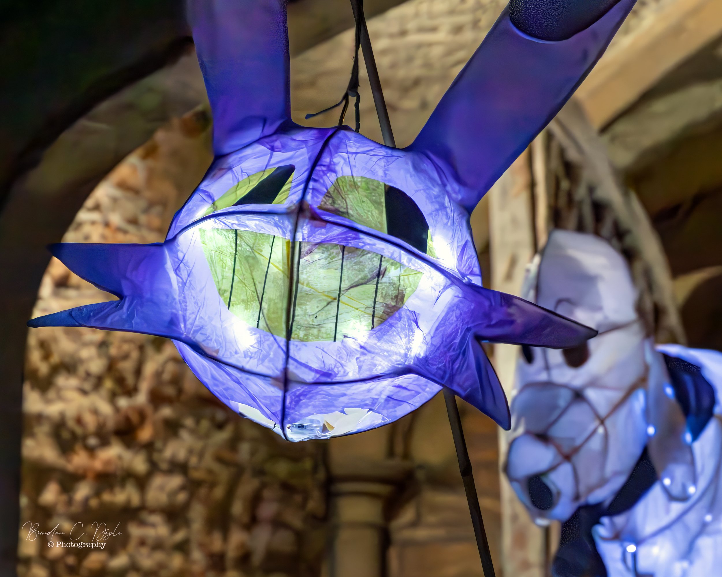 Wells Lantern Parade January 2026 010.jpg