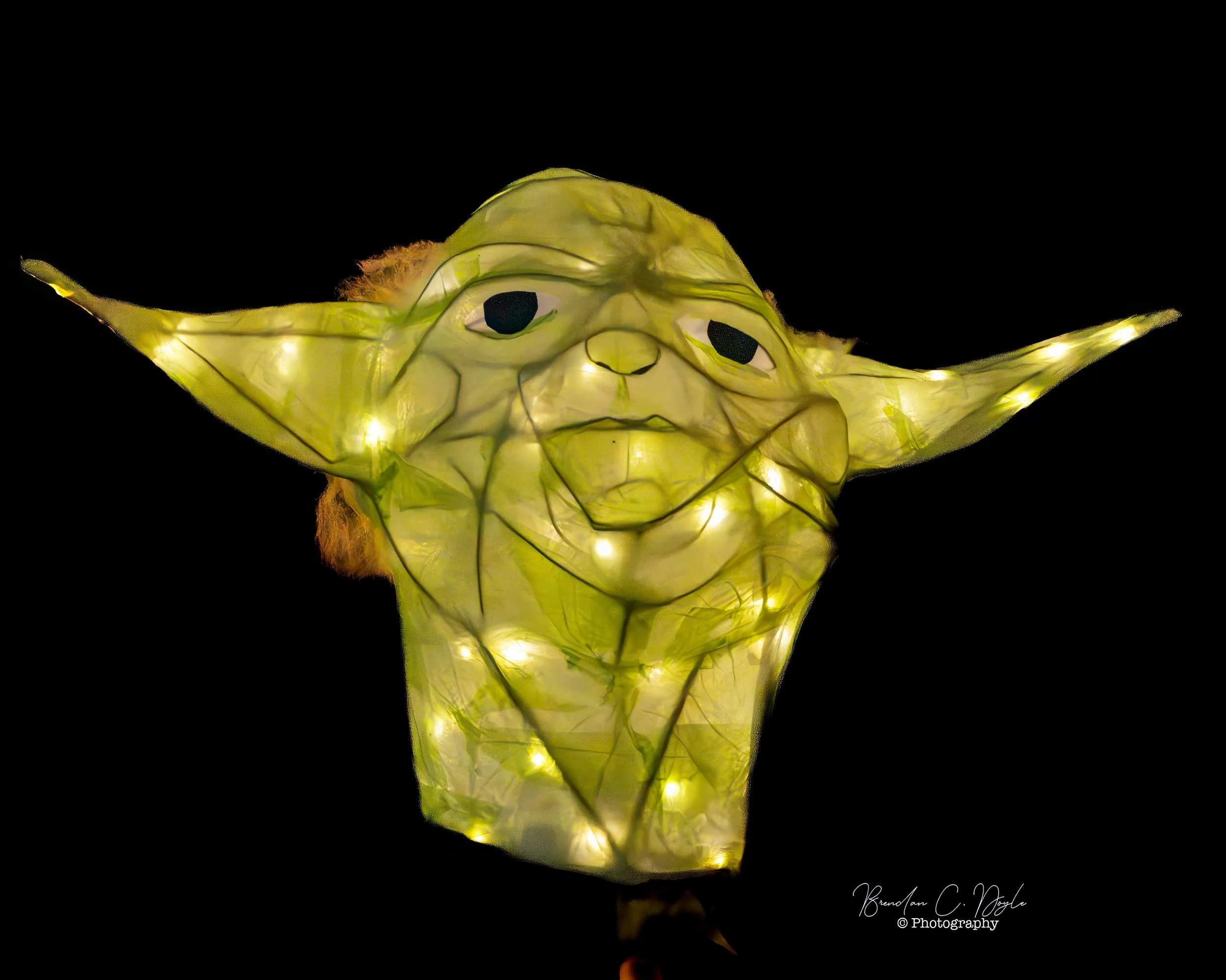 Wells Lantern Parade January 2026 021.jpg