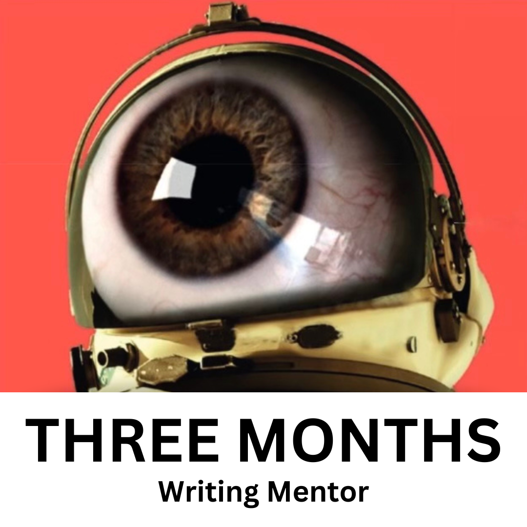 Three Months - Writing Mentor
