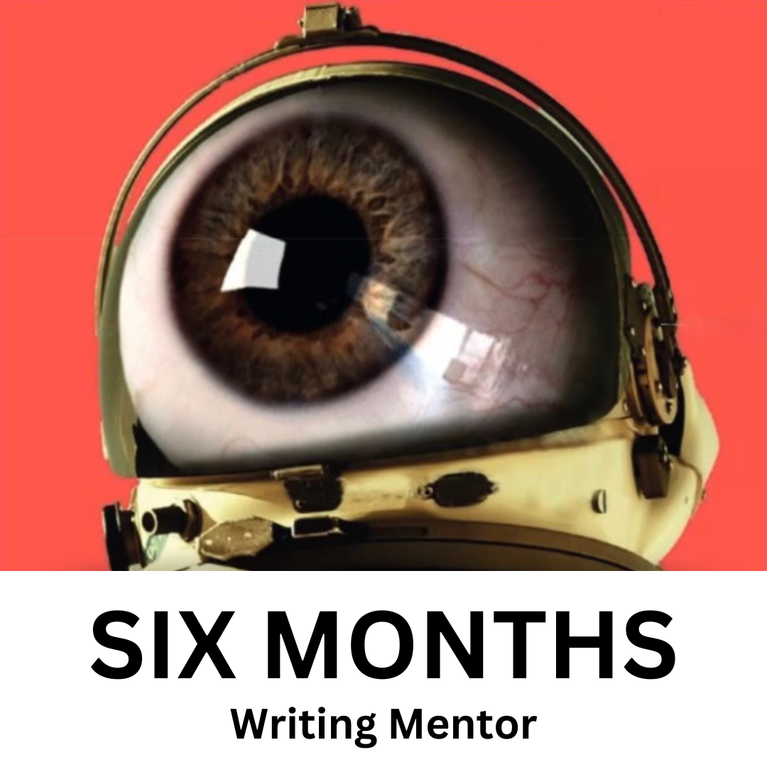 Six Months - Writing Mentor
