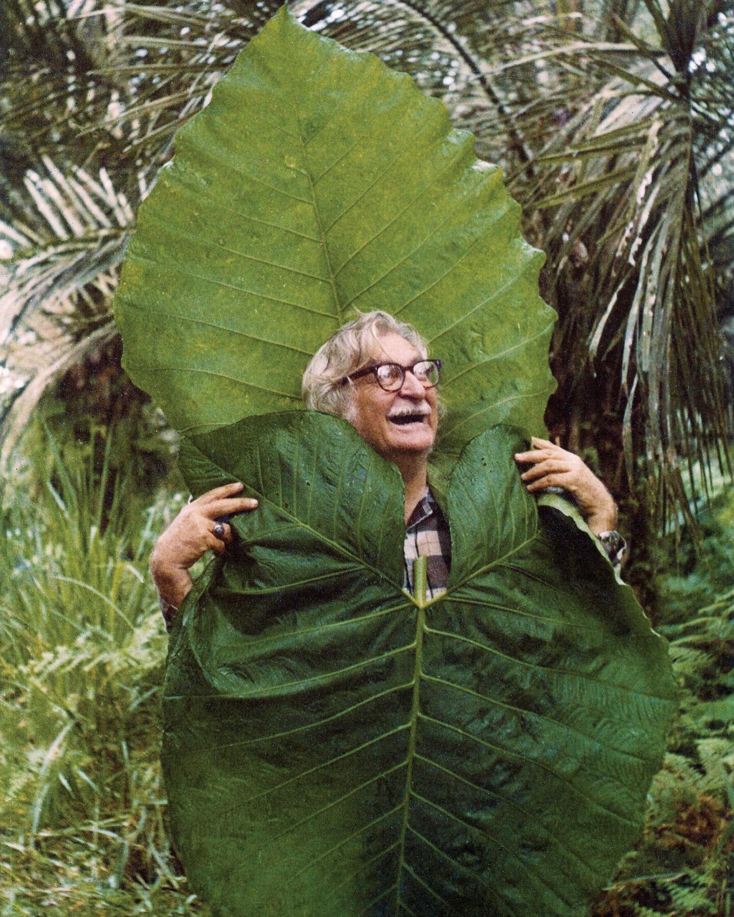 Earth Month Celebration! 🌍💚🌿

1. Roberto Burle Marx, was a French/German Brazilian born landscape architect, artist, ecologist, and naturalist. He was among the first people to call for the conservation of Brazil&rsquo;s rainforests.

2. Julia &ld