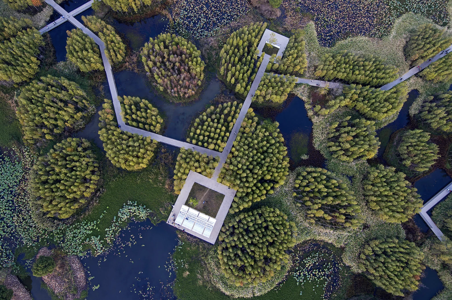 TIME MAGAZINE: “The Future of Climate Change Is Being Written in Ink Today”
