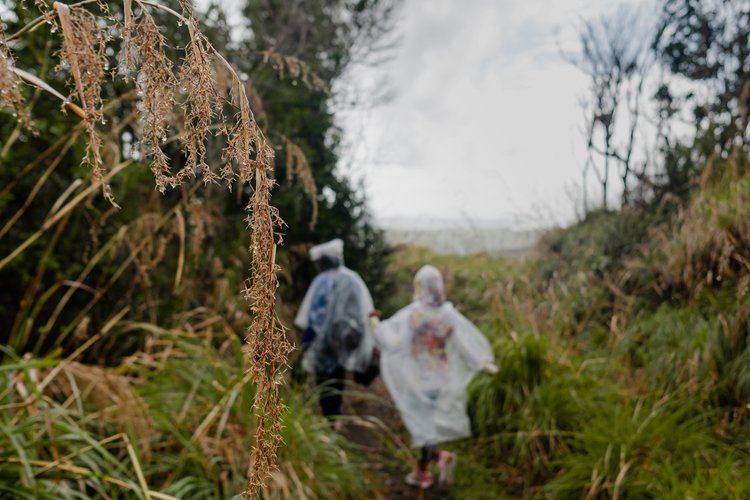 Refica Attwood and her team hiking in the rain at Wallings Nature Reserve.