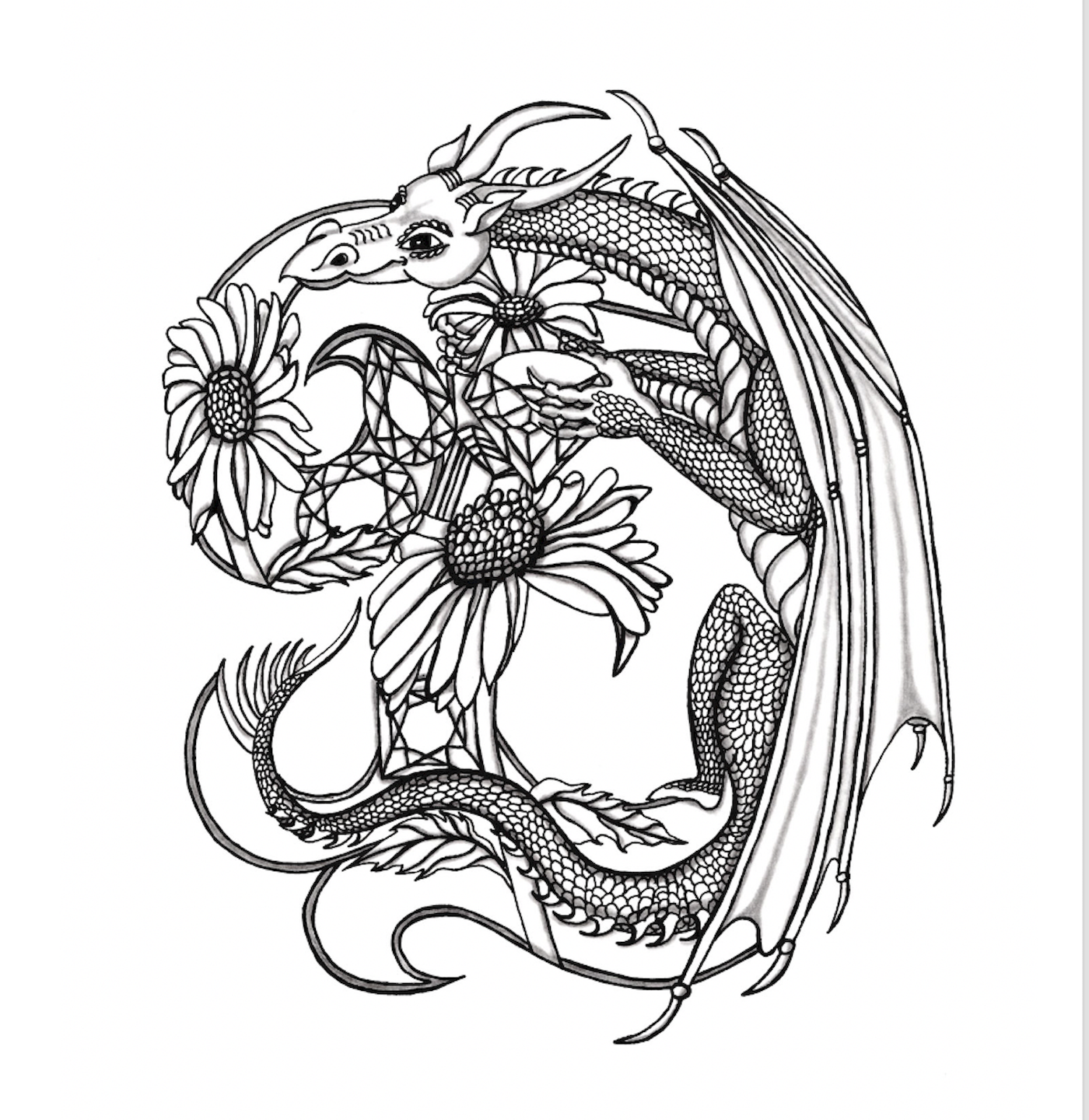 d-is-for-dragon-ink-pencil-vinda-robison-artwork.png