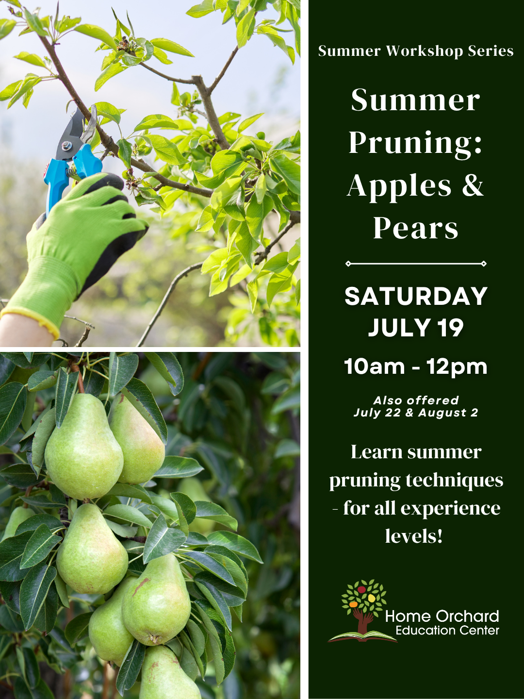Summer Workshop Series: Summer Pruning Apples & Pears • Saturday JULY 19th, 2025 • 10am-12pm