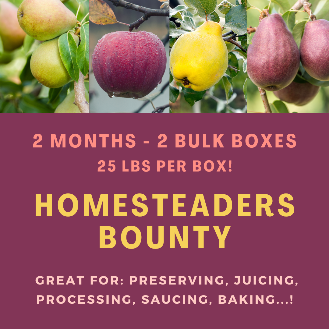 Homesteaders Bounty Payment