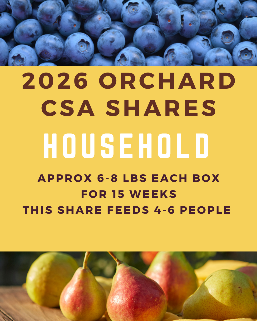 Orchard CSA Payment: Household Size