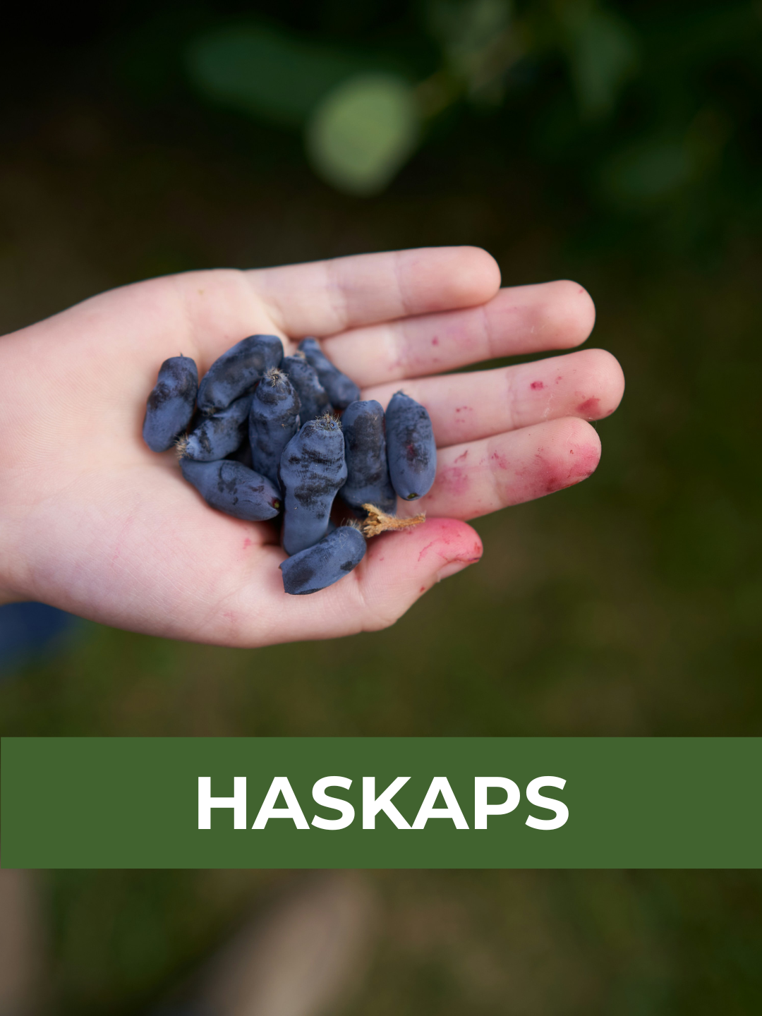 26 Spring Plant Sale website (34) (4).png