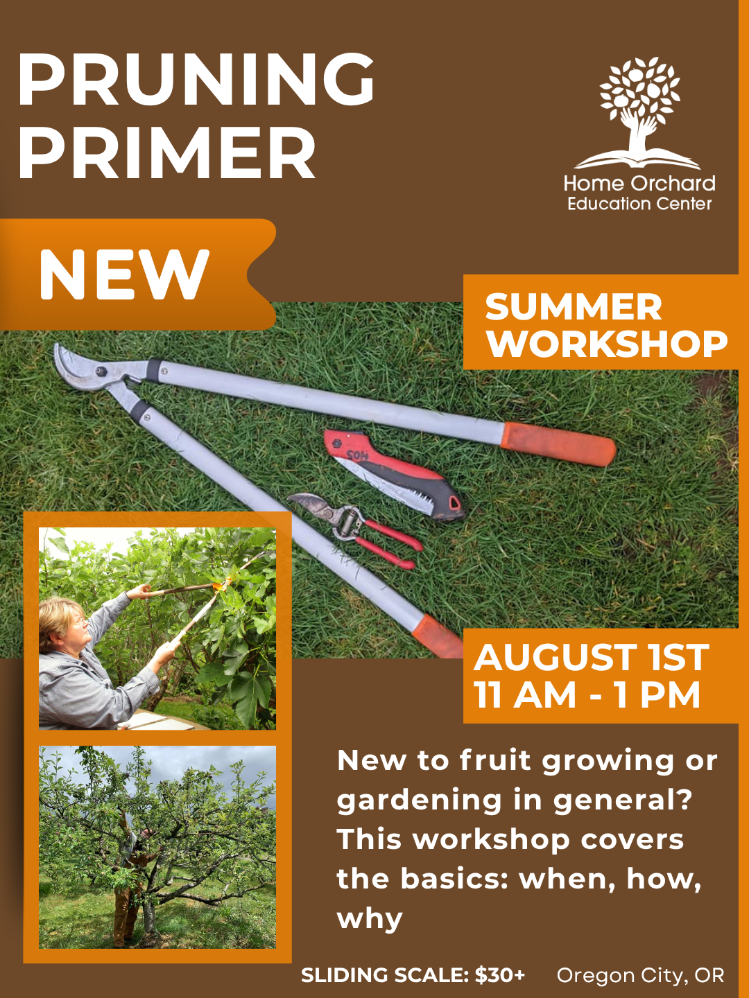 Summer Workshop Series: Pruning Primer: Saturday August 1st, 2026 11am-1pm