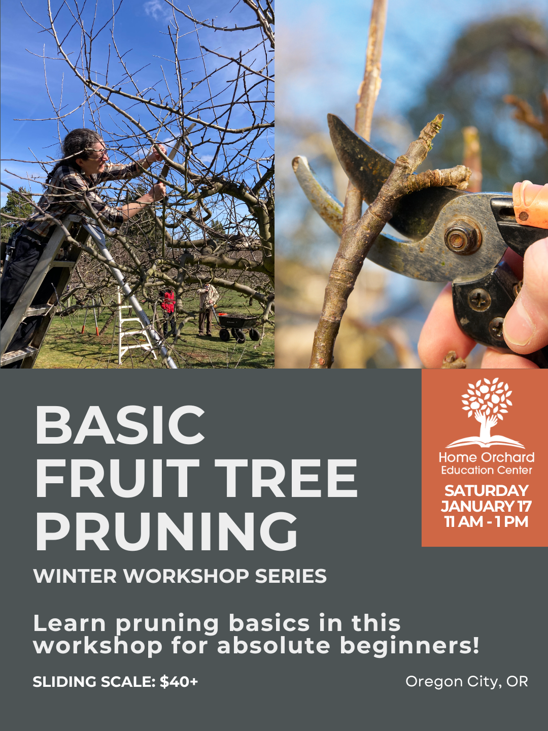 Tree Rotation Workshop Home Orchard Education Center — Home Page