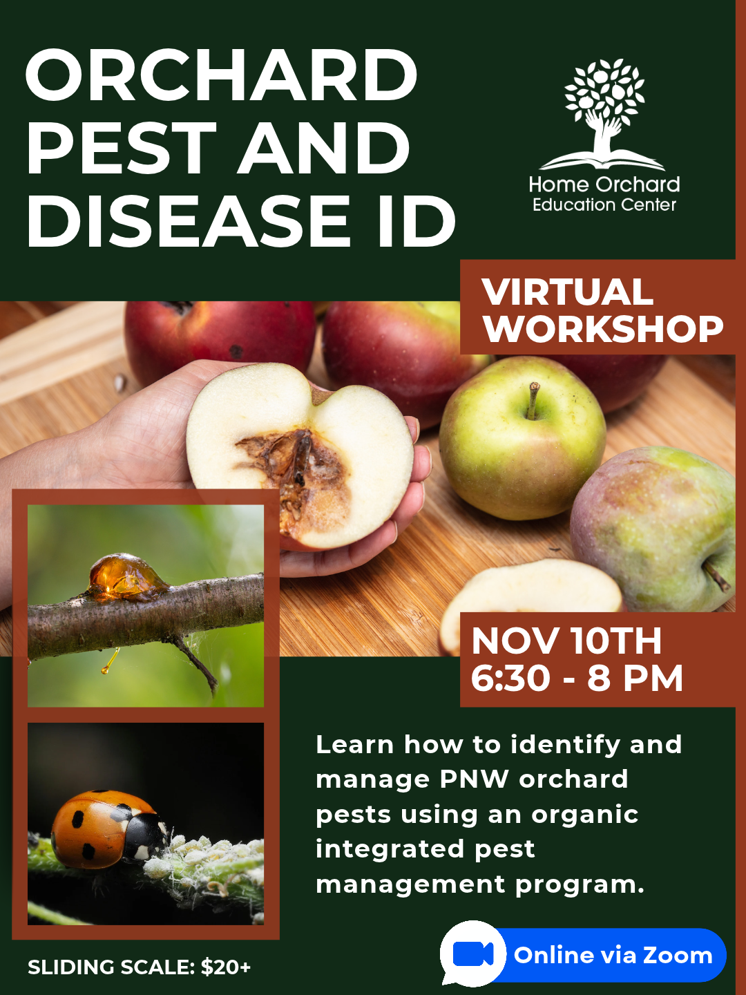 nov 2026 virtual Workshop.png