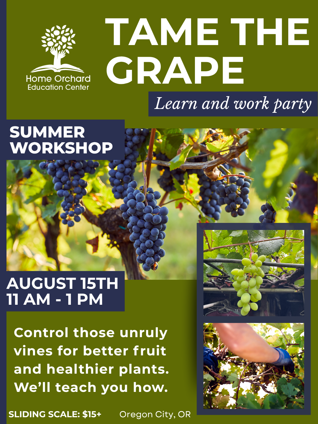 Summer Workshop Series: Tame The Grape! Summer Grape Control: Saturday, August 15th, 2026 11am-1pm