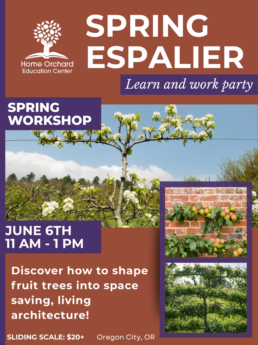 Spring Workshop Series: Espalier– Learn and Work • Saturday, June 6th, 2026 11am-1pm