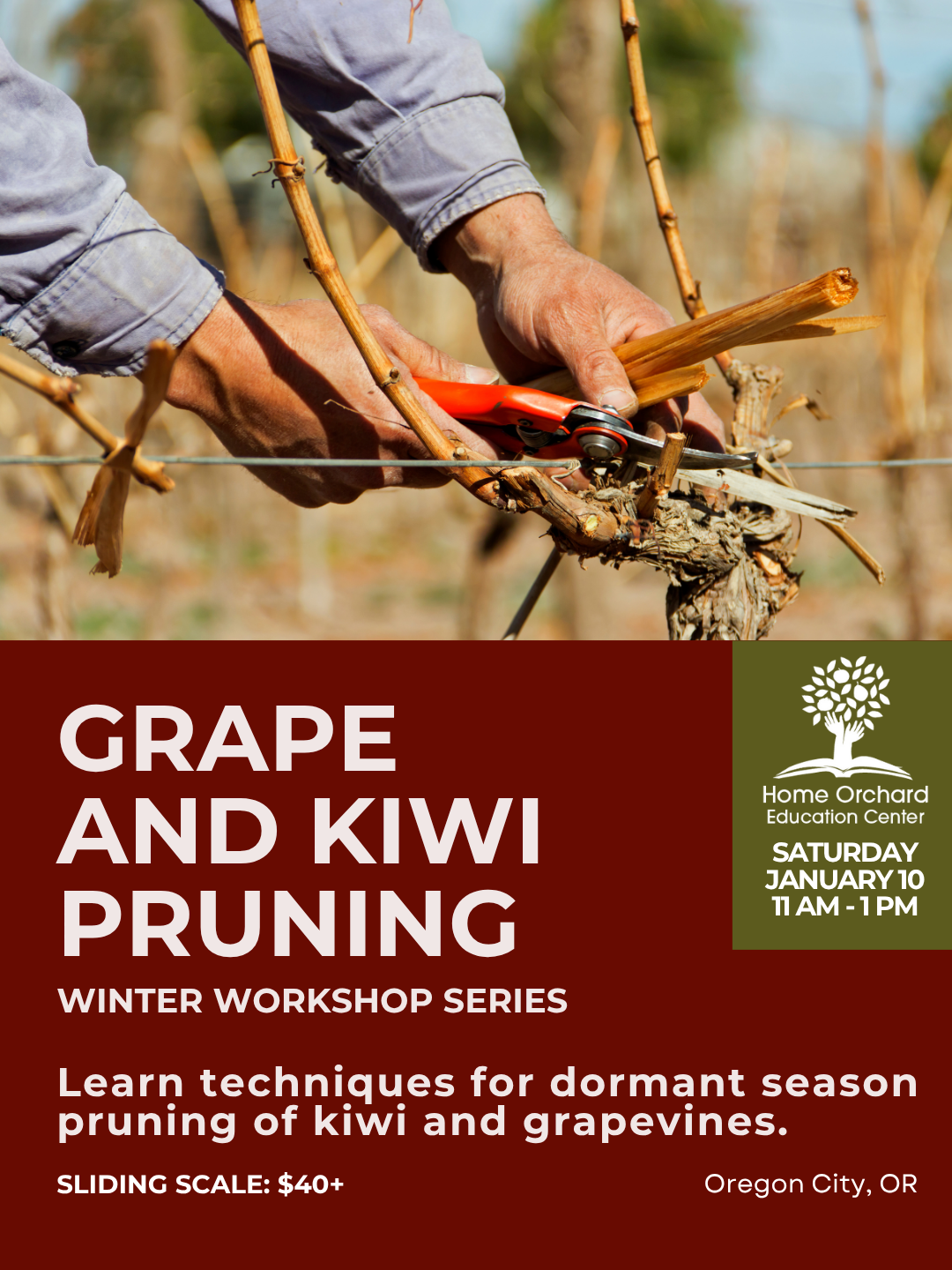 2026 workshops winterspringsummerfall (1080 x 1440 px).png