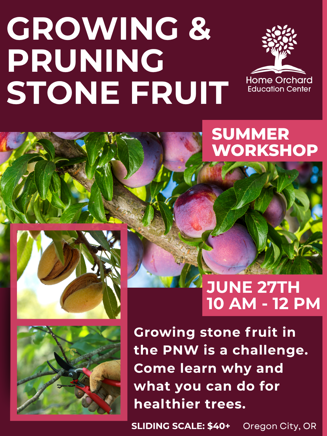 26 springsummer workshop website (34) (1).png