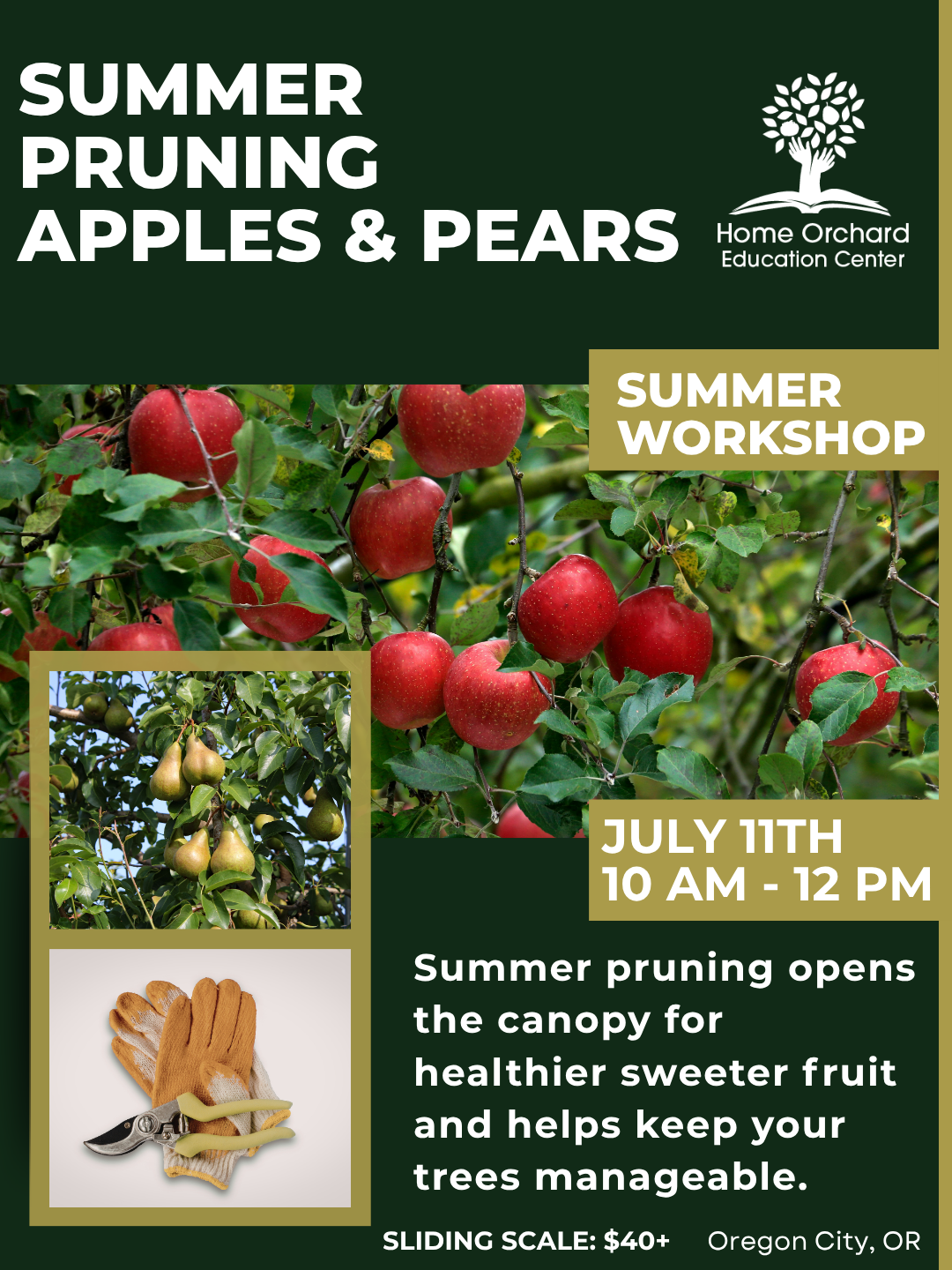 26 springsummer workshop website (34) (2).png