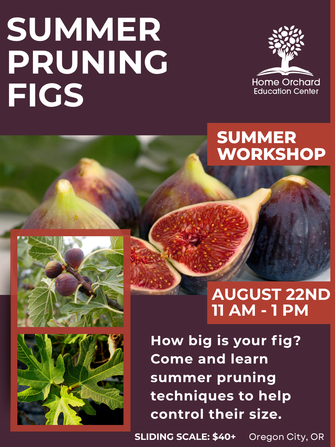 Summer Workshop Series: Pruning Figs for Size Control: Saturday, August 22nd, 2026 11am-1pm